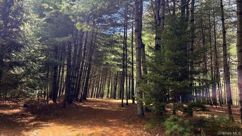 Vacant Land For Sale - LOT 12 White Road<br/> Glen Spey, NY 12737