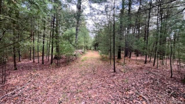 Lot 12 White Road
