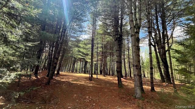 Lot 12 White Road