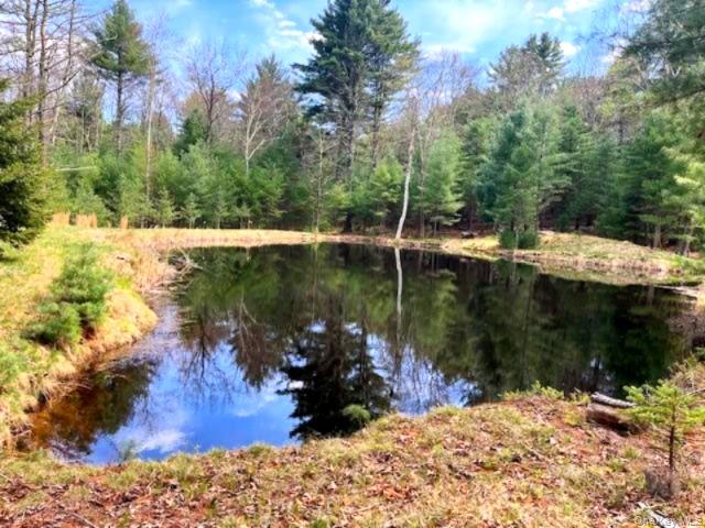 Lot 12 White Road