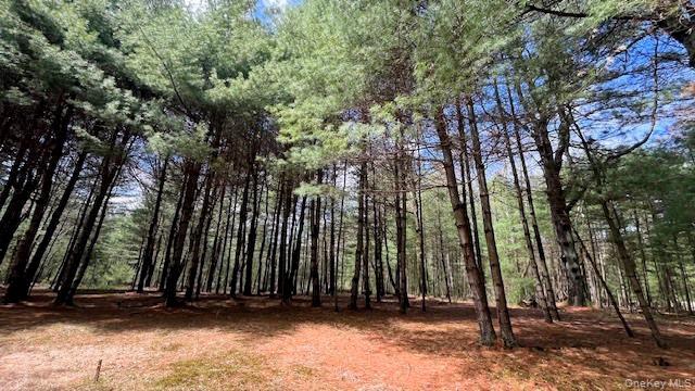 Lot 12 White Road