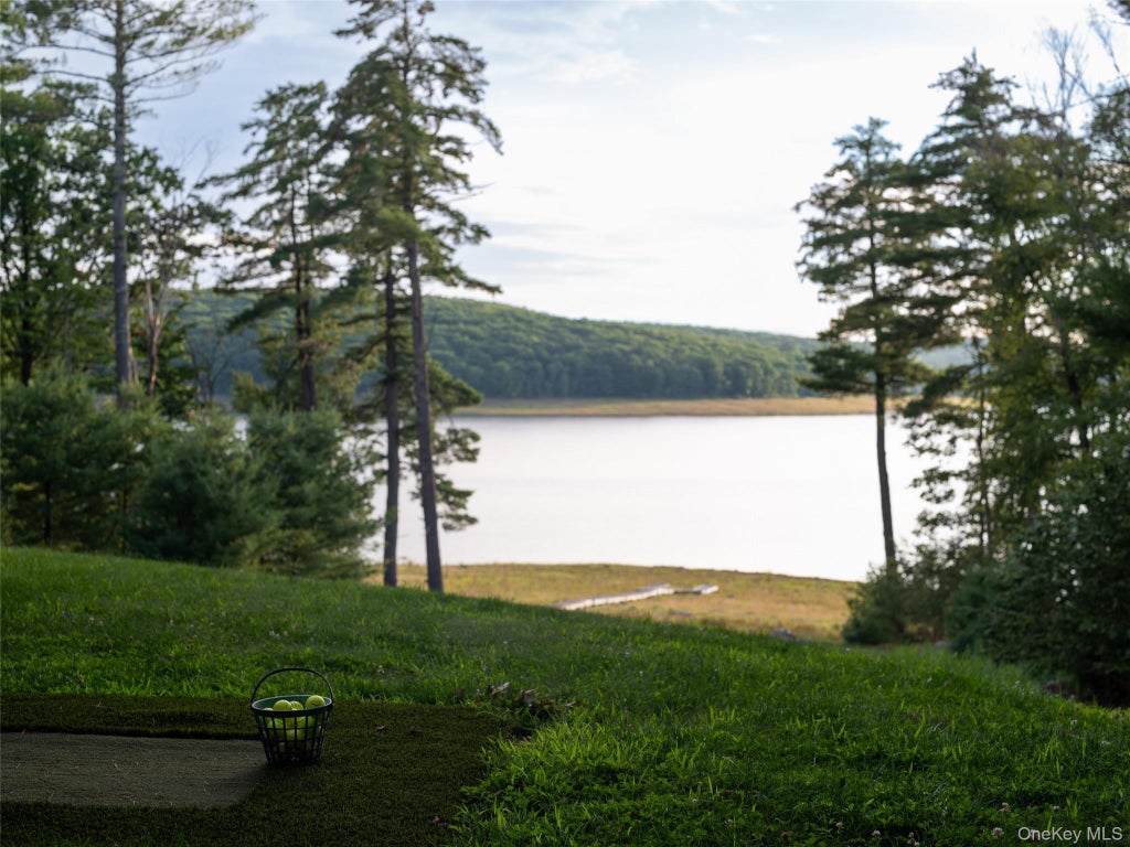 Photo of 60 Top Ridge Trail, White Lake, NY 12786 (MLS # 1037747)