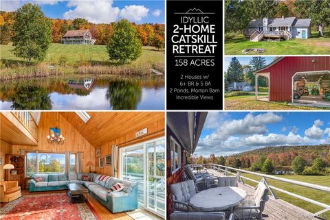 Homes For Sale - 1144-1184 Hollister Hill Road<br/> Delhi, NY 13753