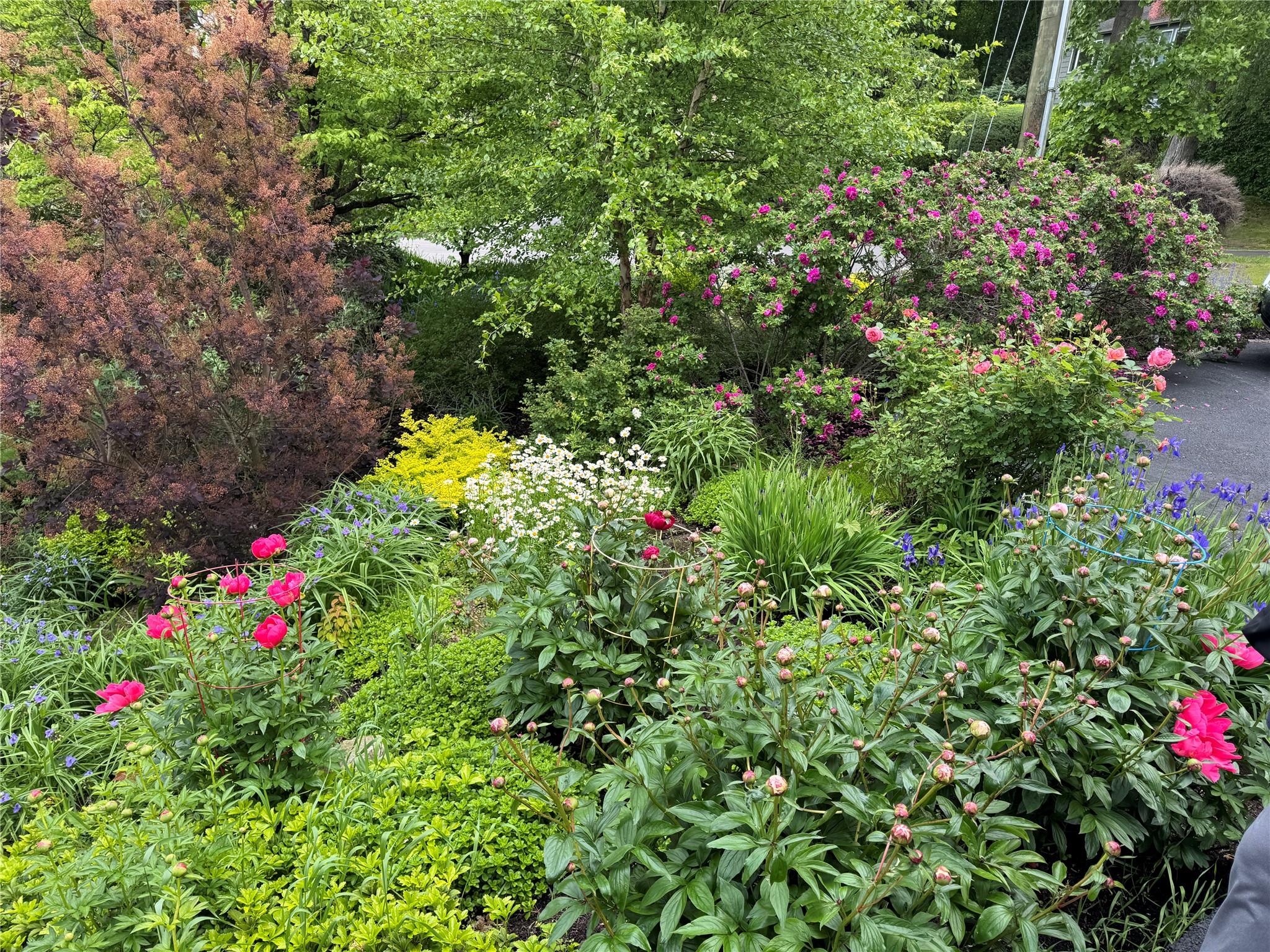 24 Country Club Lane, Briarcliff Manor, New York image 35