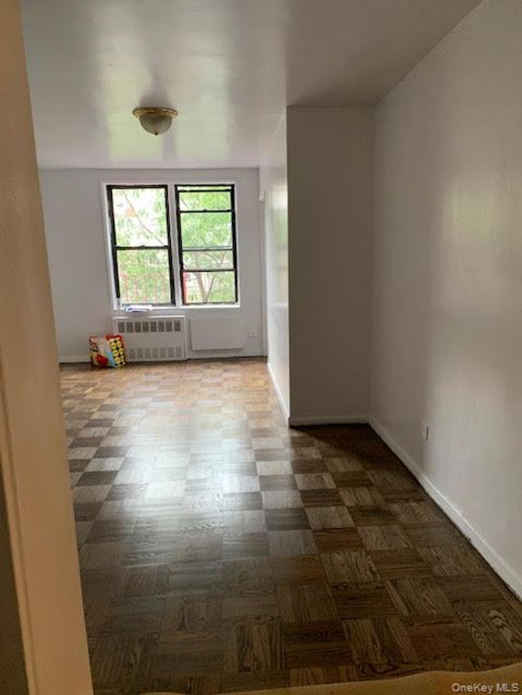 Photo of 92-29 Lamont Avenue Ave #2, Elmhurst, NY 11373 (MLS # 928353)