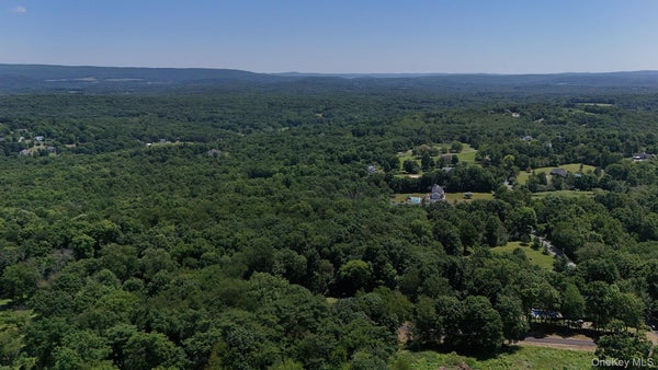 110 PURGATORY RD, CAMPBELL HALL, NY 10916 - Image baaaf43b6ae4b81cf854cf3c376cfaf2/4029244430
