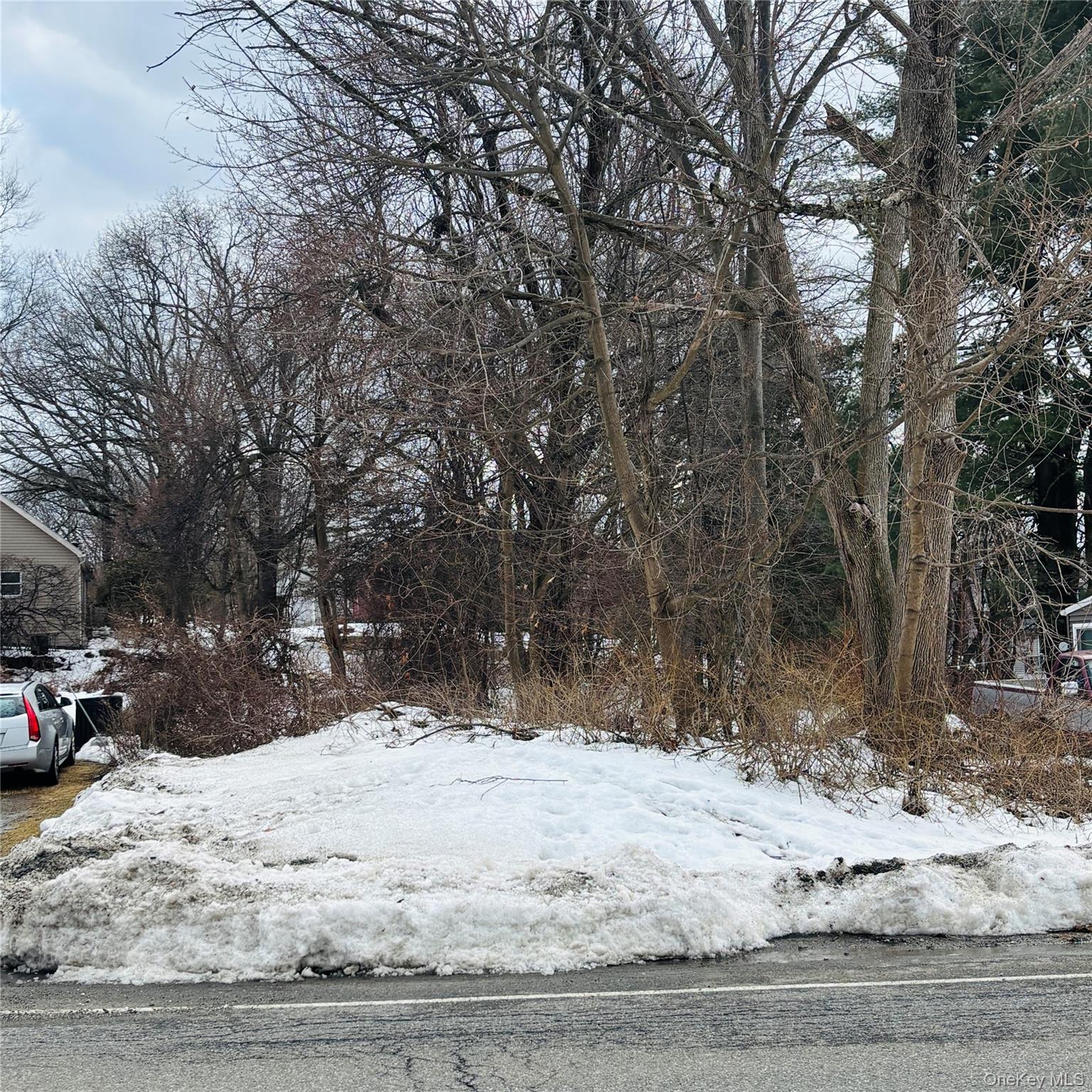 Between 229 and 231 Westchester Avenue