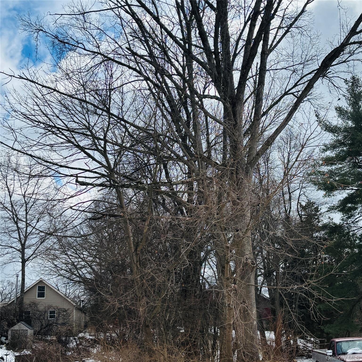 Between 229 and 231 Westchester Avenue