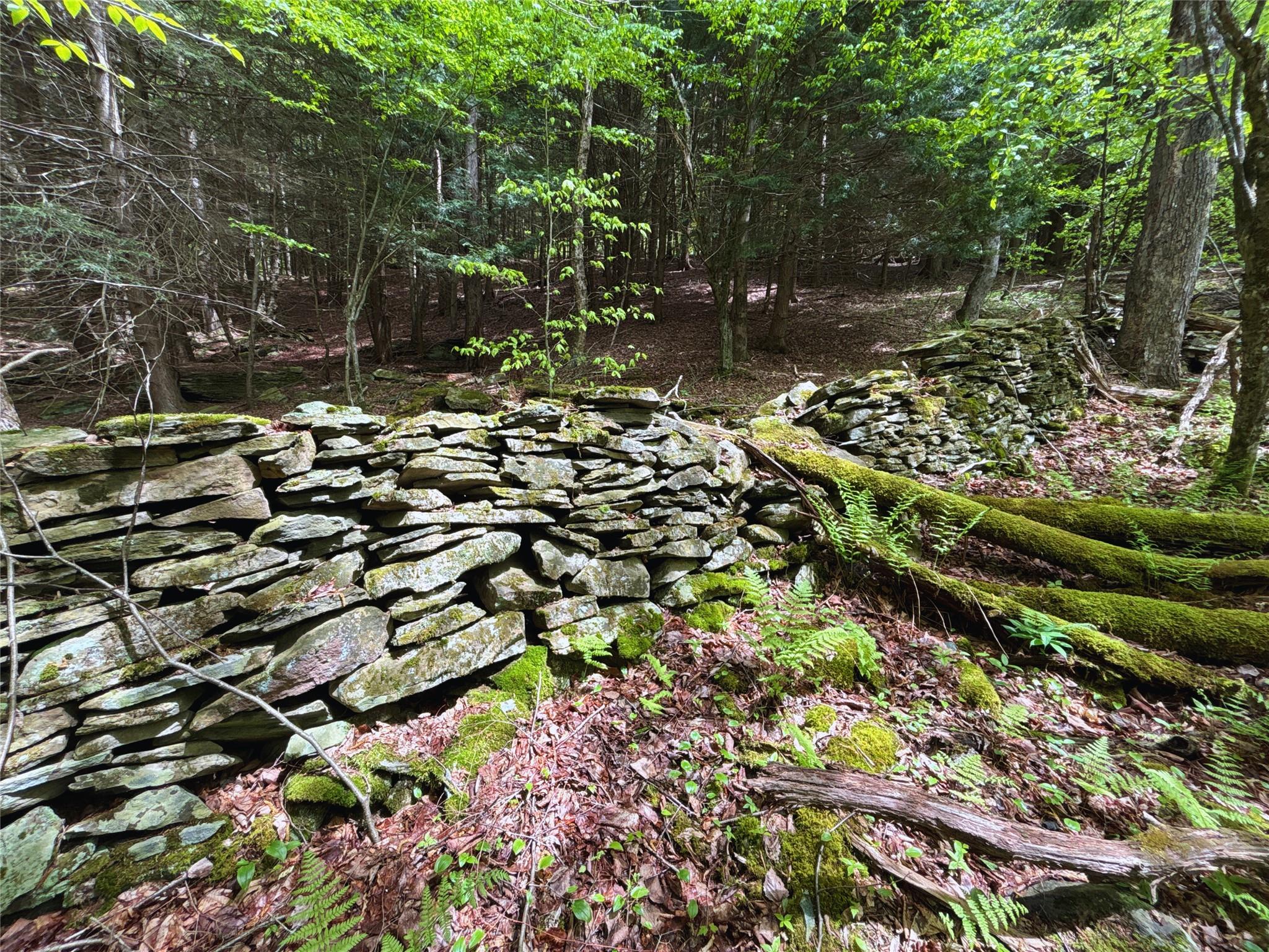 Lot 6.2 Launt Hollow Road, Hamden, New York image 25