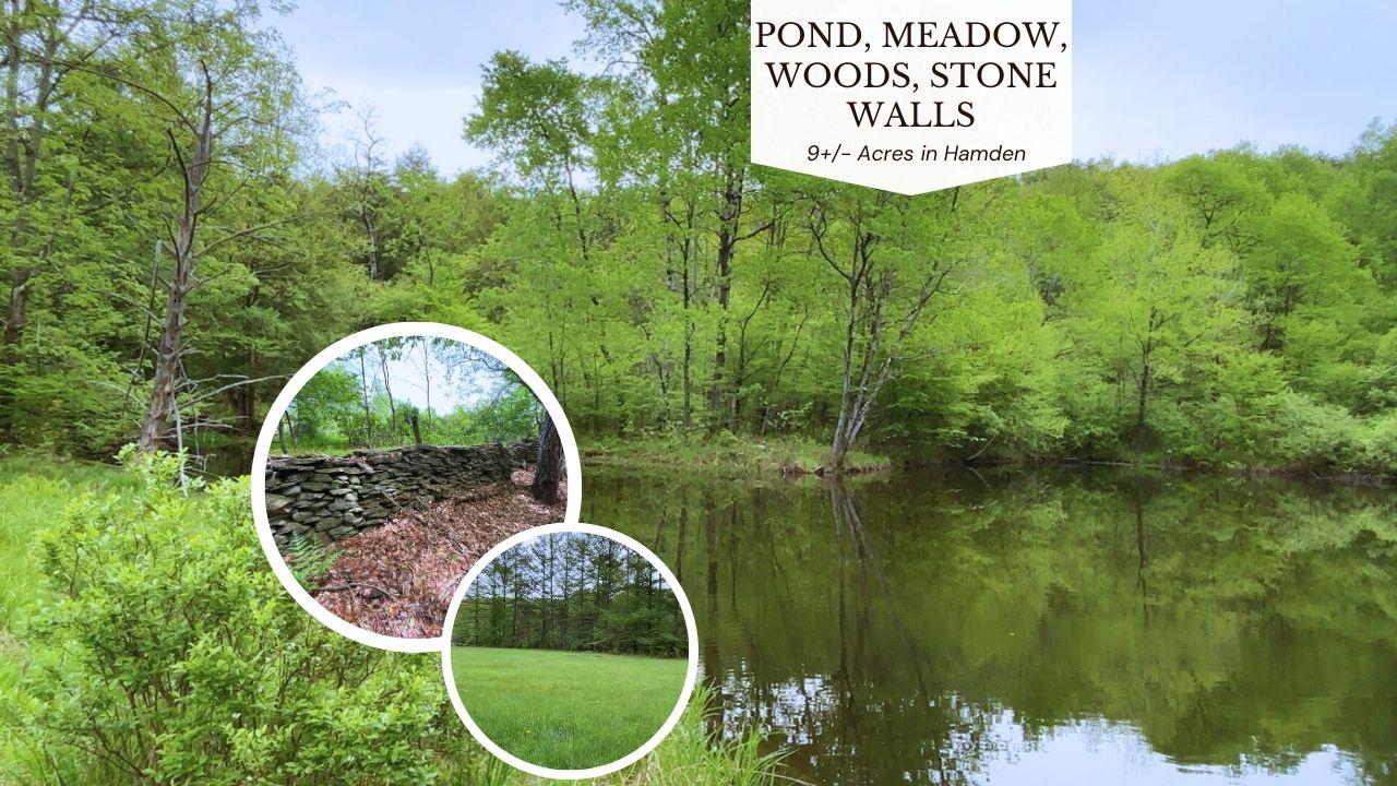 Lot 6.2 Launt Hollow Road, Hamden, New York image 1
