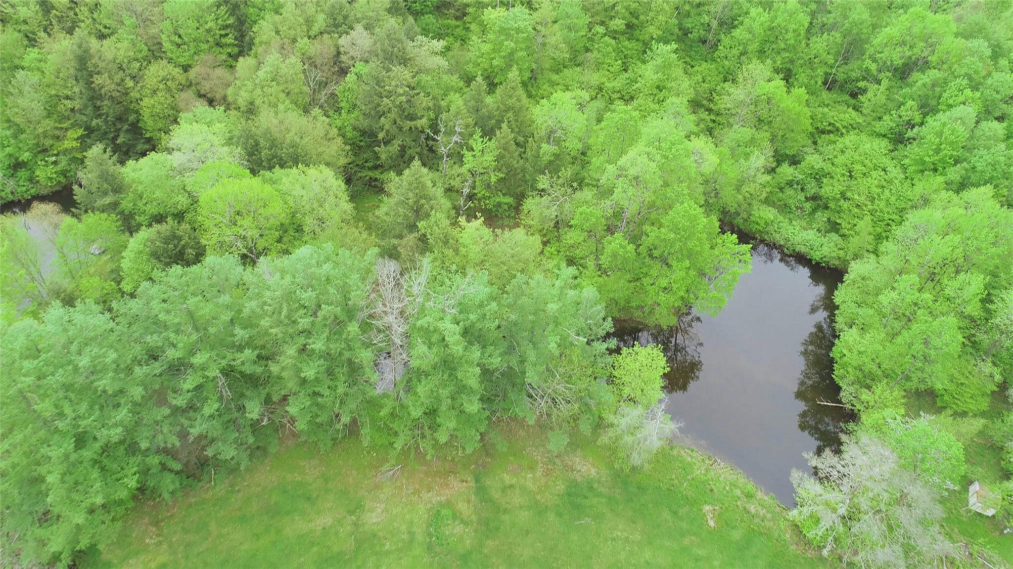 Lot 6.2 Launt Hollow Road, Hamden, New York image 13