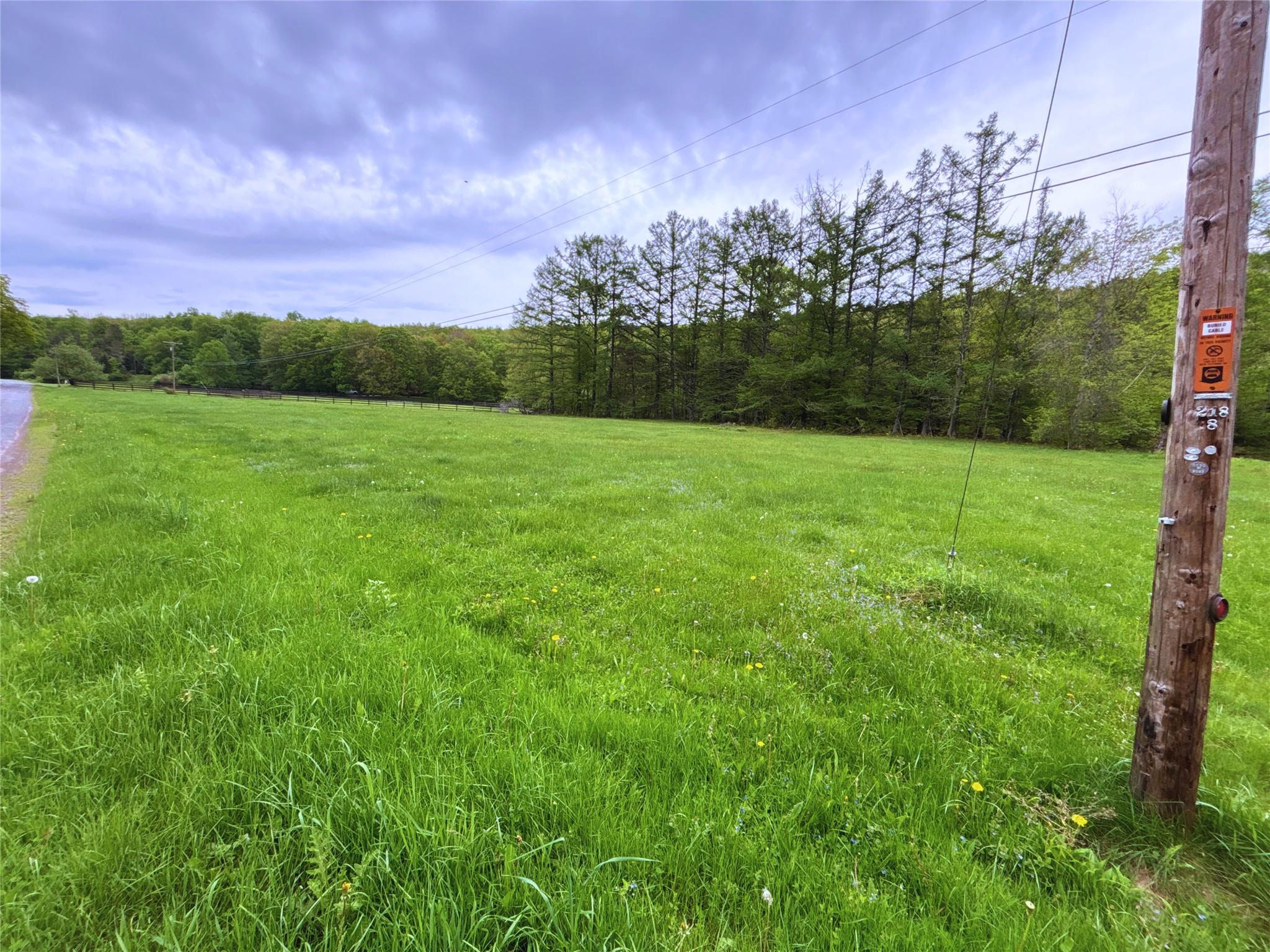 Lot 6.2 Launt Hollow Road, Hamden, New York image 9