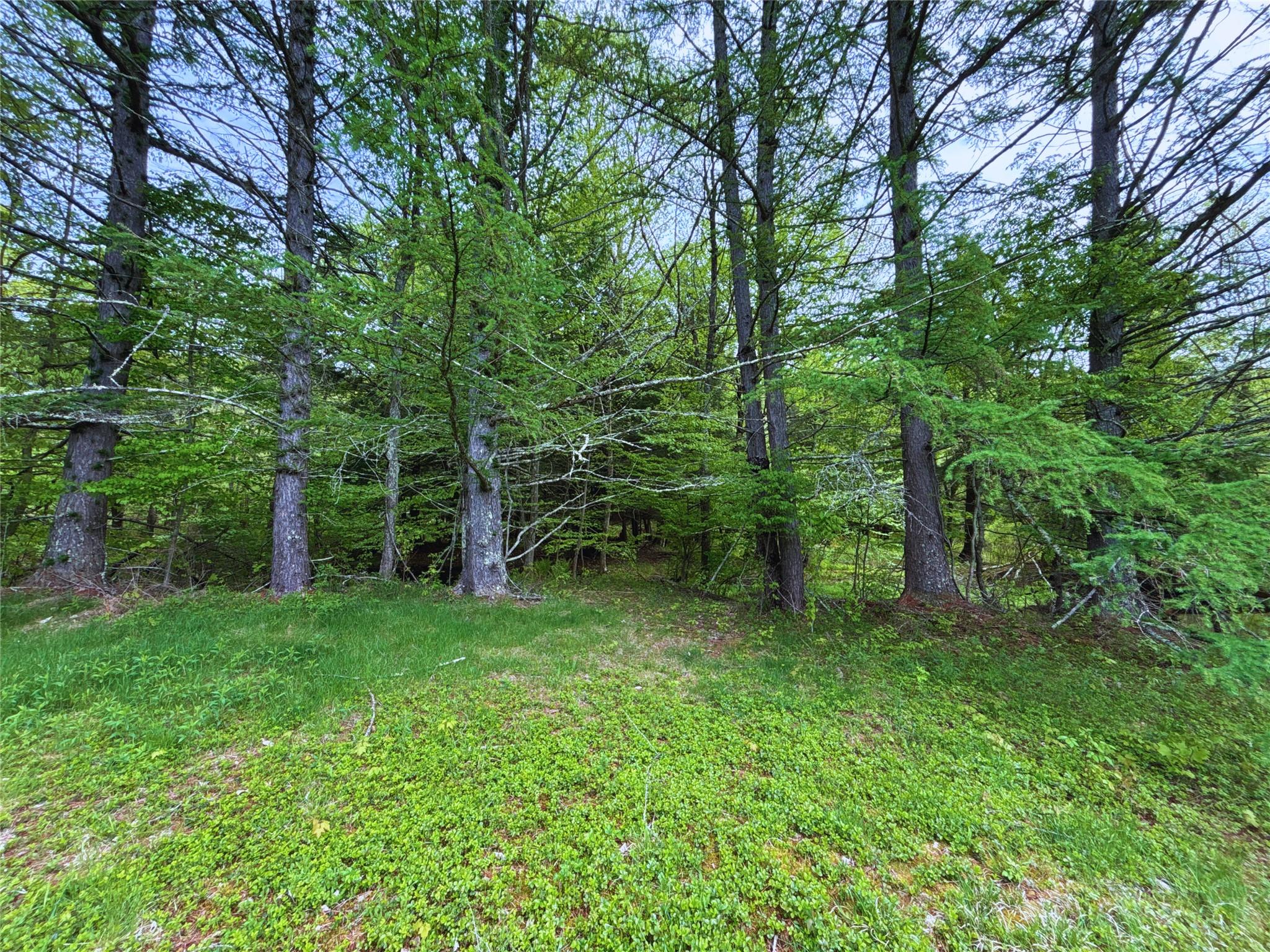 Lot 6.2 Launt Hollow Road, Hamden, New York image 10