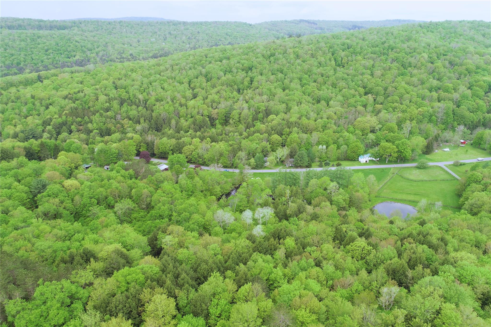 Lot 6.2 Launt Hollow Road, Hamden, New York image 40