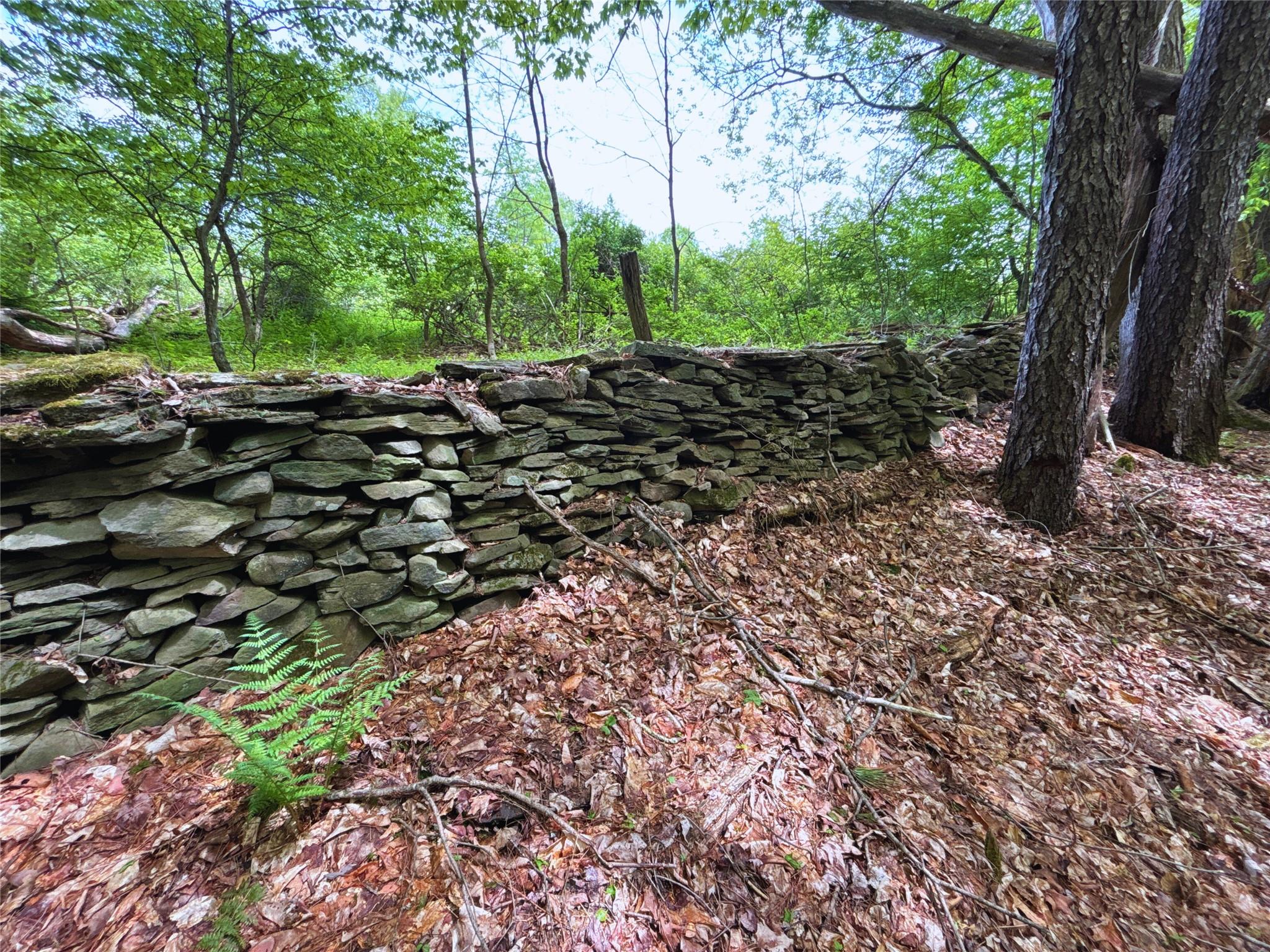 Lot 6.2 Launt Hollow Road, Hamden, New York image 21