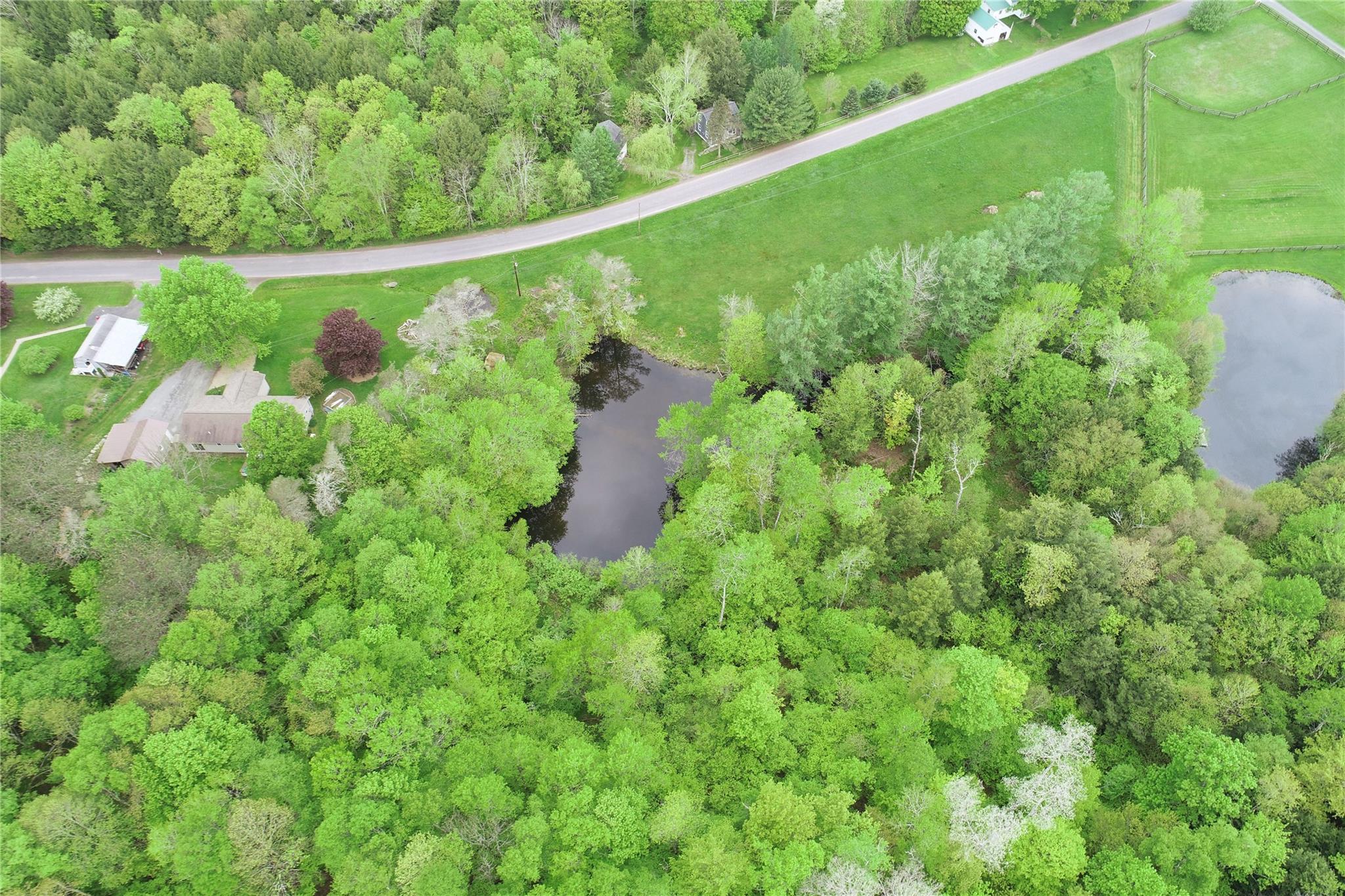 Lot 6.2 Launt Hollow Road, Hamden, New York image 8