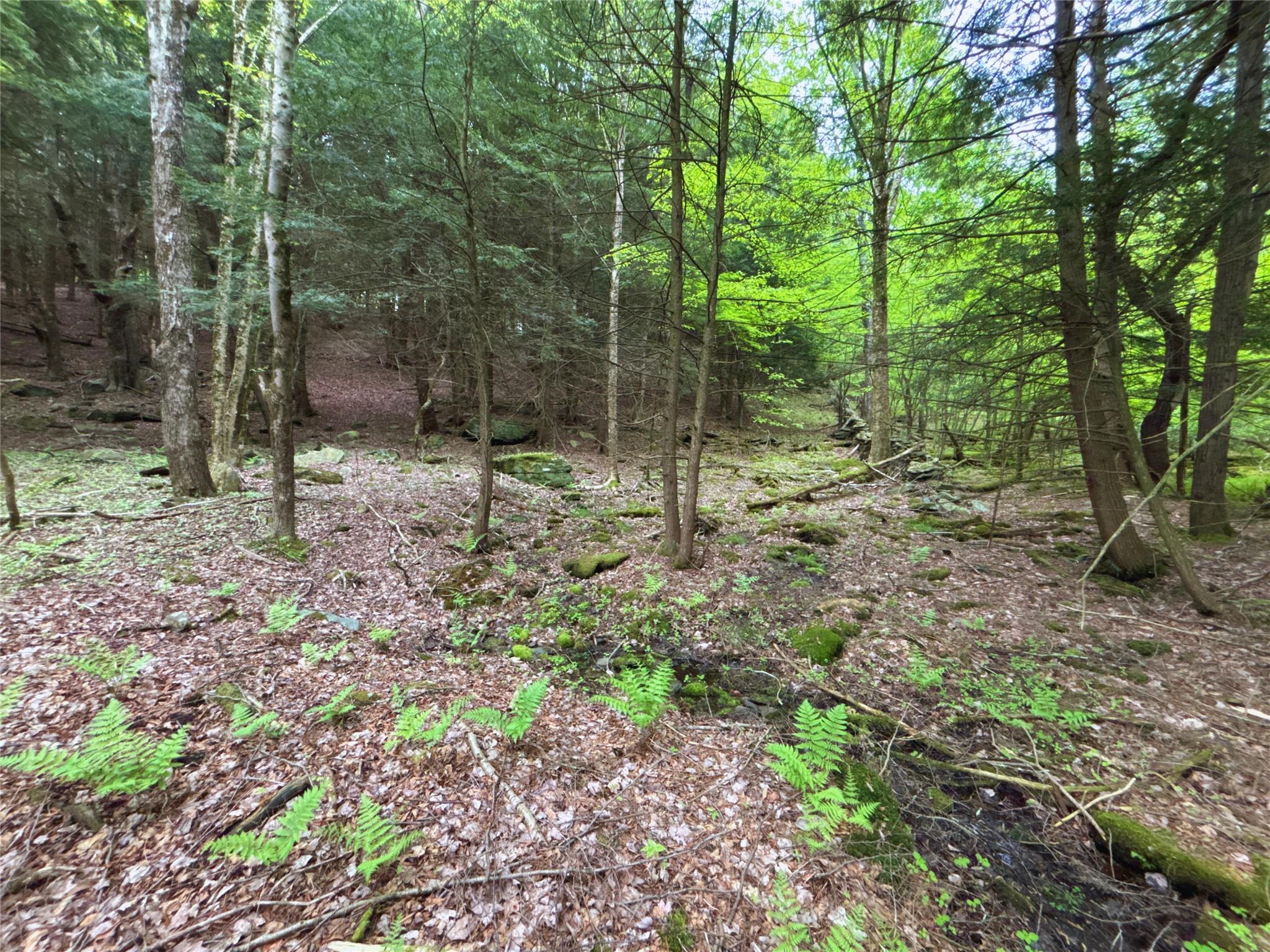 Lot 6.2 Launt Hollow Road, Hamden, New York image 20
