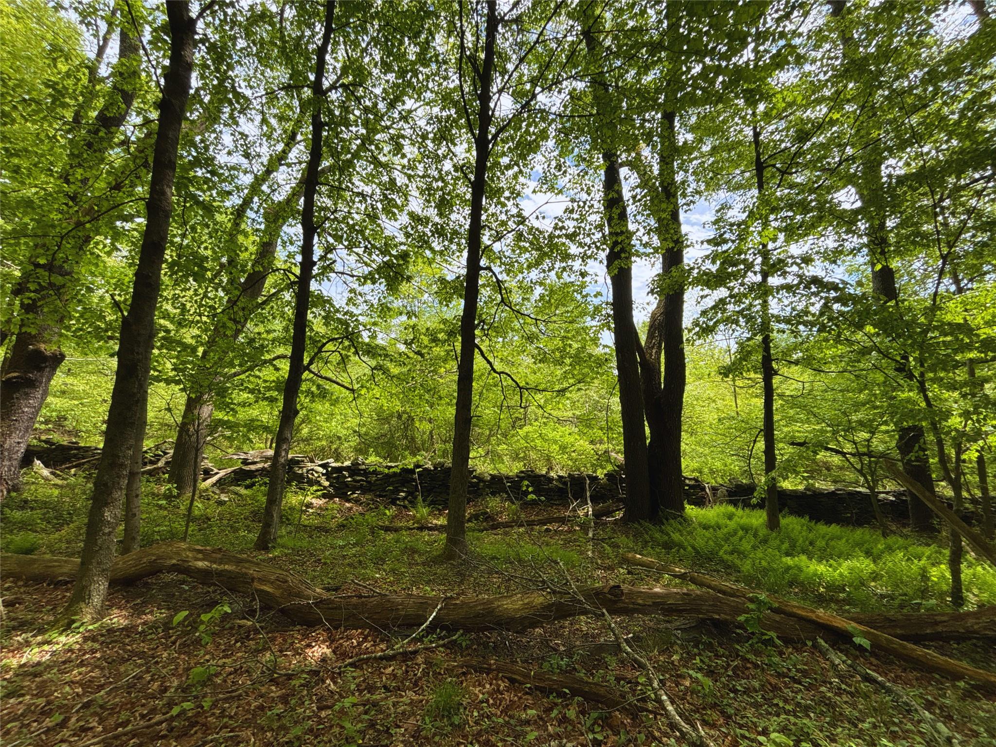 Lot 6.2 Launt Hollow Road, Hamden, New York image 30