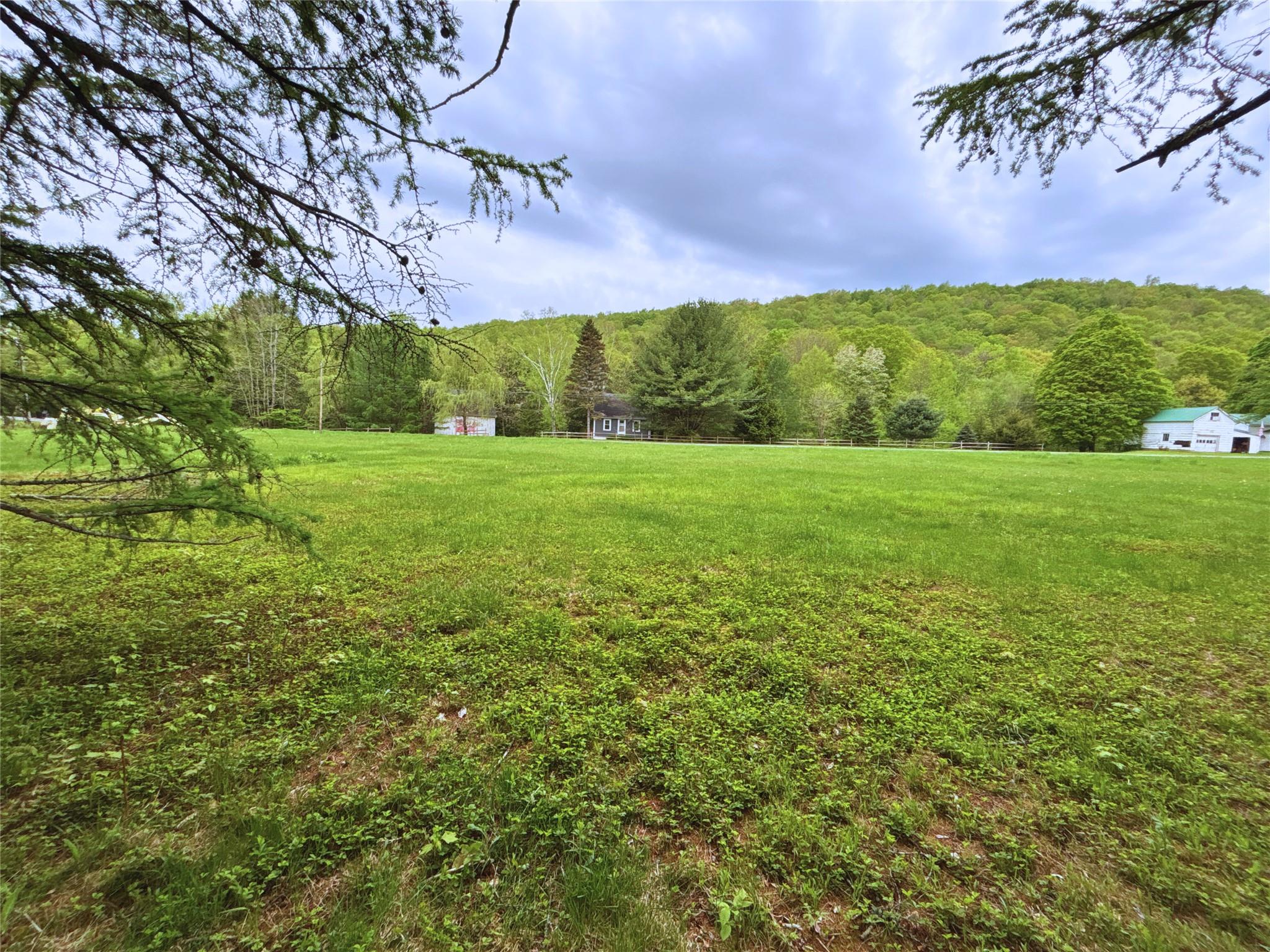 Lot 6.2 Launt Hollow Road, Hamden, New York image 11
