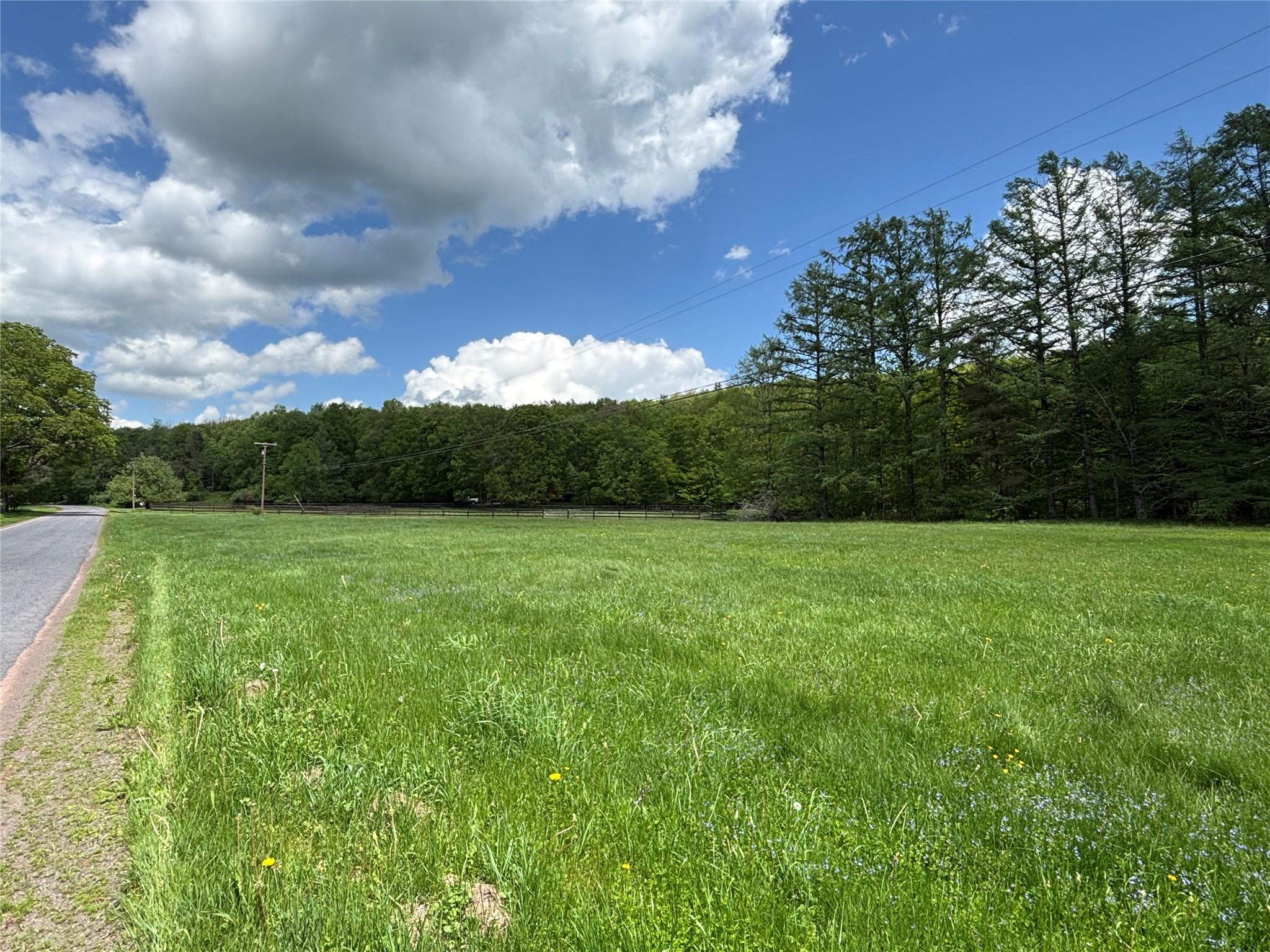 Lot 6.2 Launt Hollow Road, Hamden, New York image 6