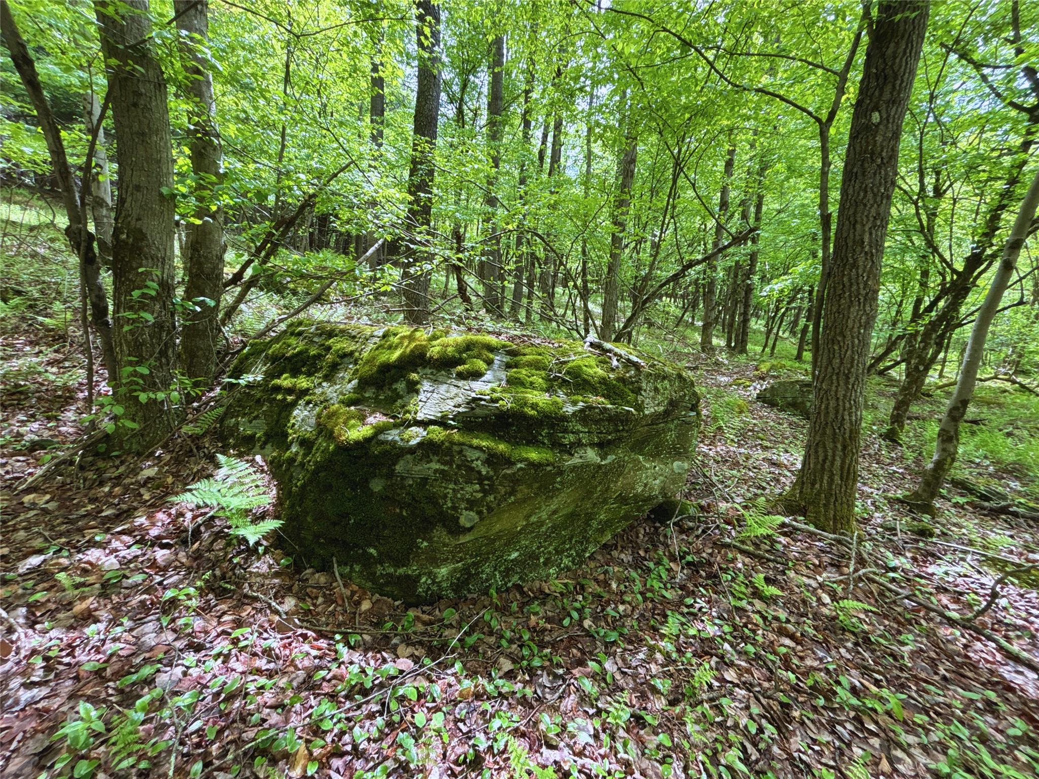 Lot 6.2 Launt Hollow Road, Hamden, New York image 33