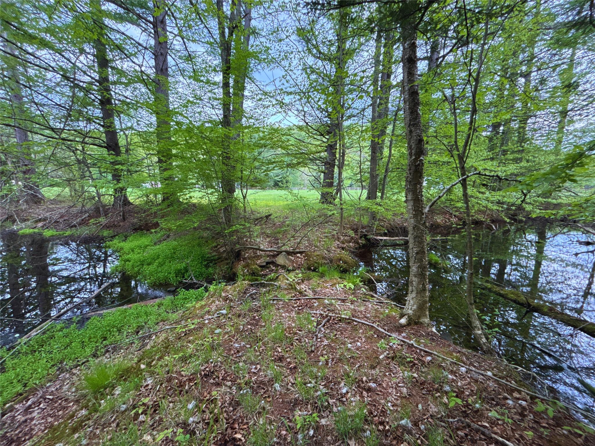 Lot 6.2 Launt Hollow Road, Hamden, New York image 18