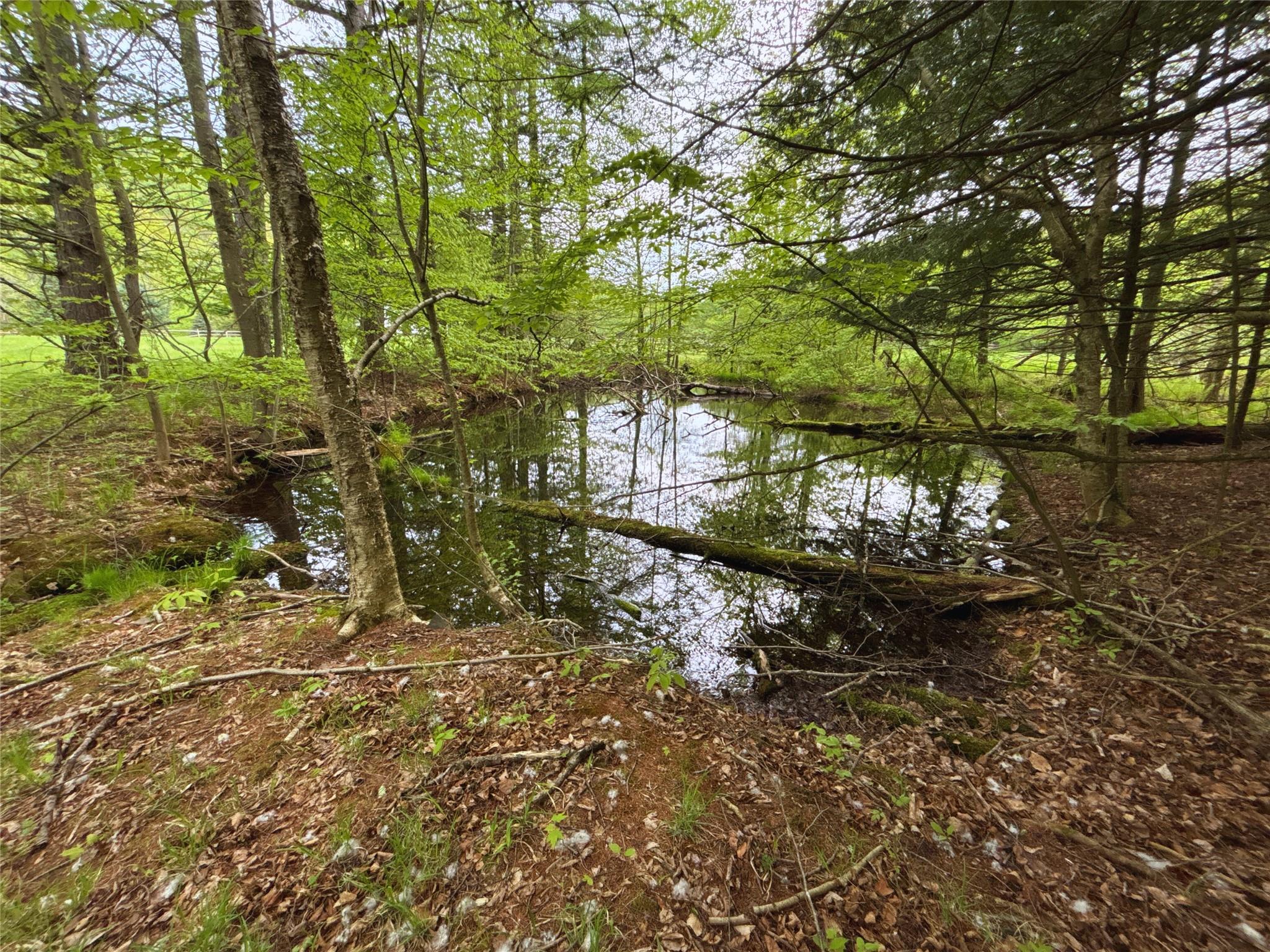 Lot 6.2 Launt Hollow Road, Hamden, New York image 17