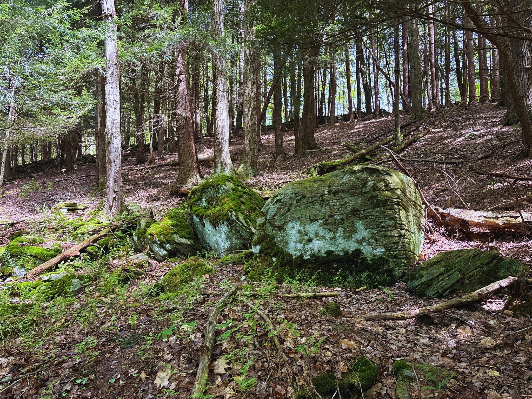 Lot 6.2 Launt Hollow Road, Hamden, New York image 31