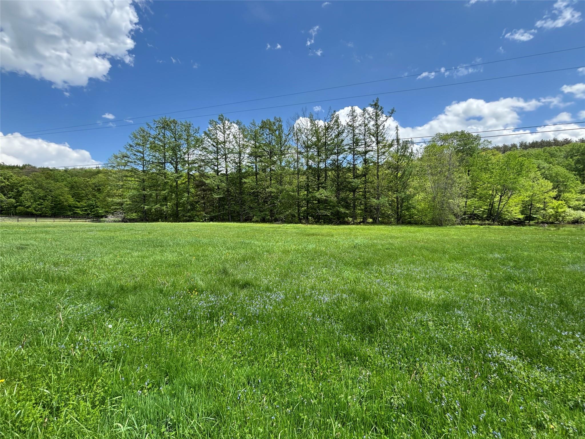 Lot 6.2 Launt Hollow Road, Hamden, New York image 7
