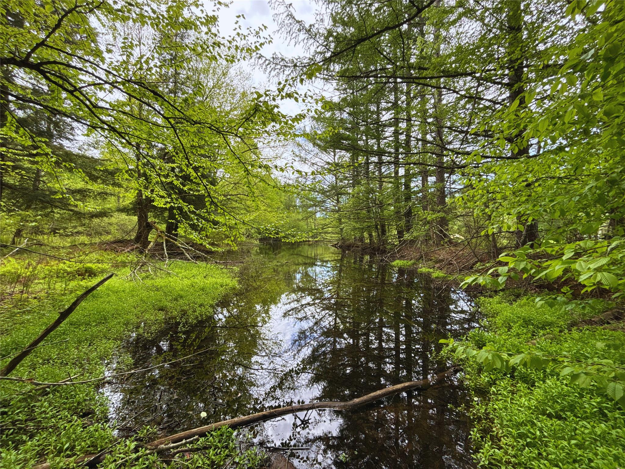 Lot 6.2 Launt Hollow Road, Hamden, New York image 16