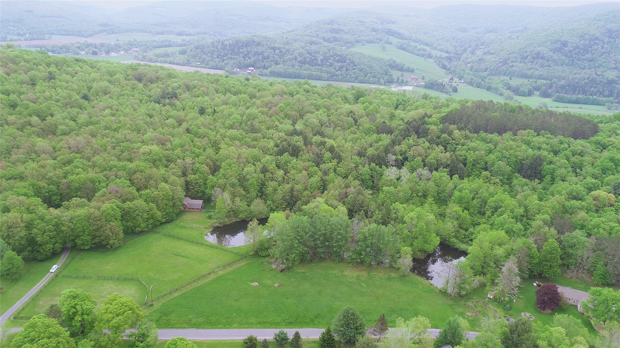 Lot 6.2 Launt Hollow Road, Hamden, New York image 3