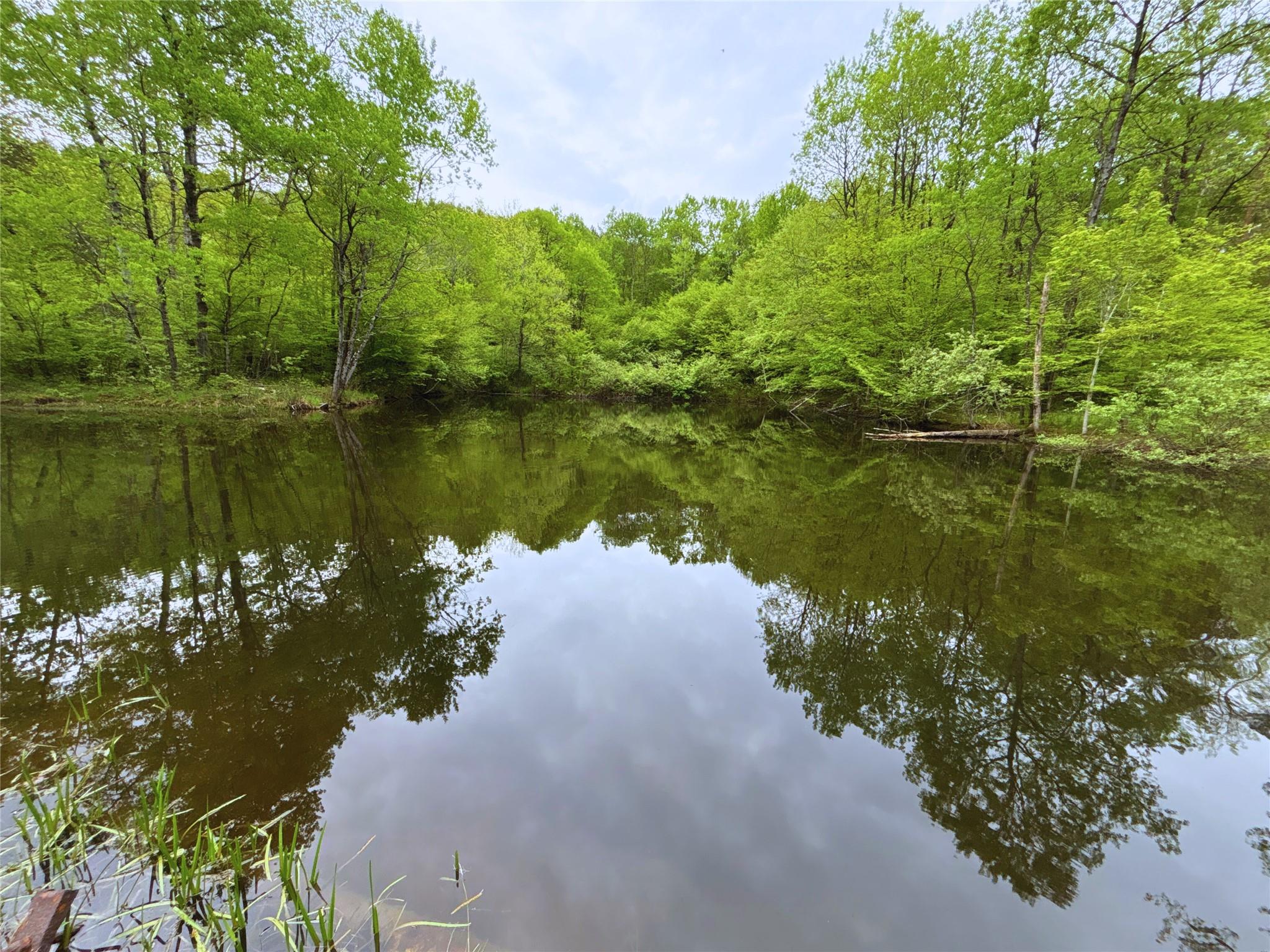 Lot 6.2 Launt Hollow Road, Hamden, New York image 15