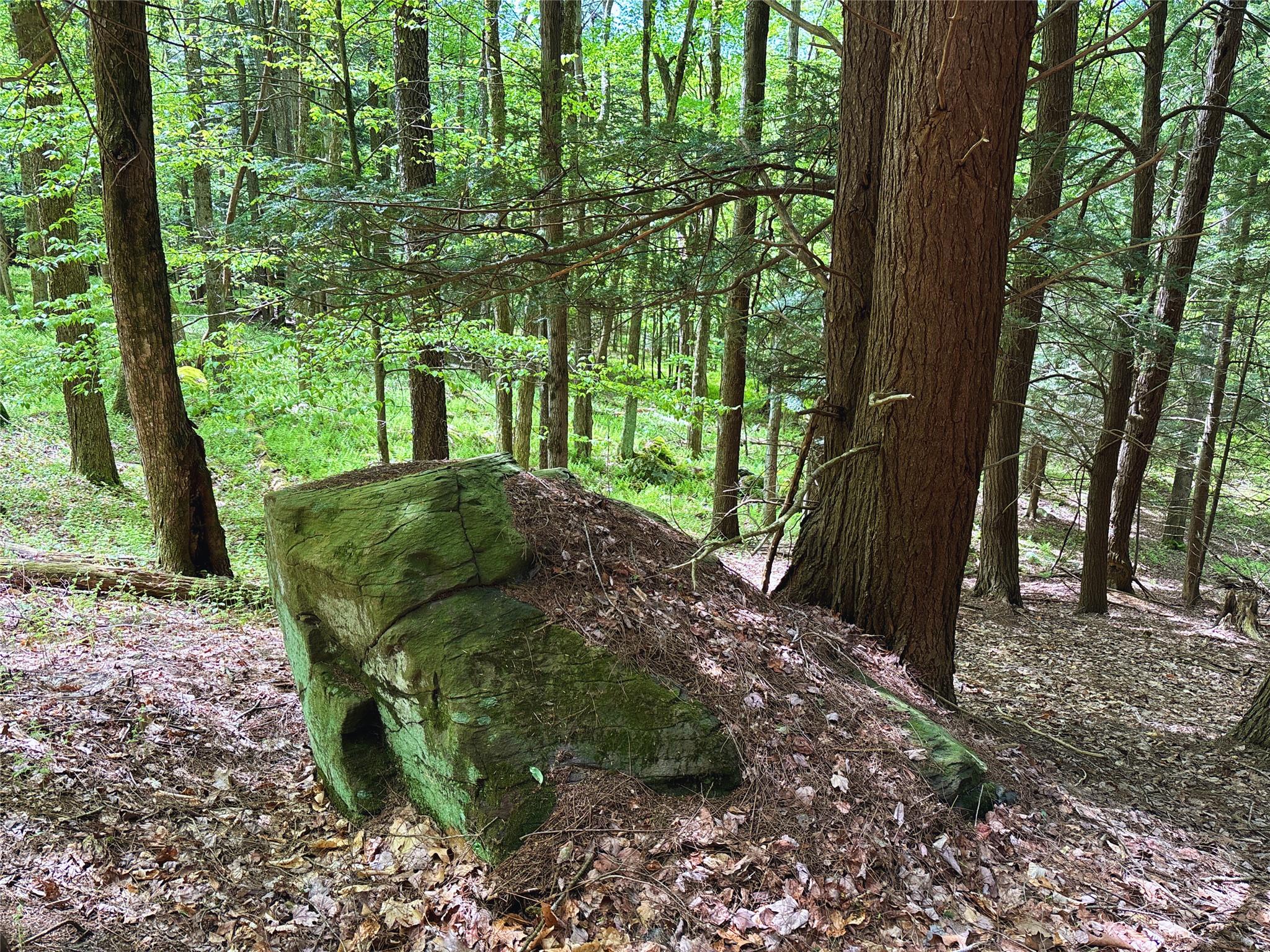 Lot 6.2 Launt Hollow Road, Hamden, New York image 26