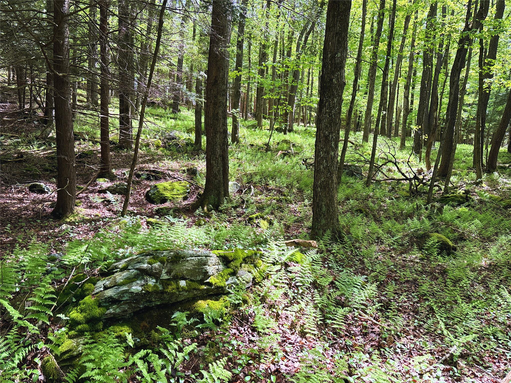 Lot 6.2 Launt Hollow Road, Hamden, New York image 28