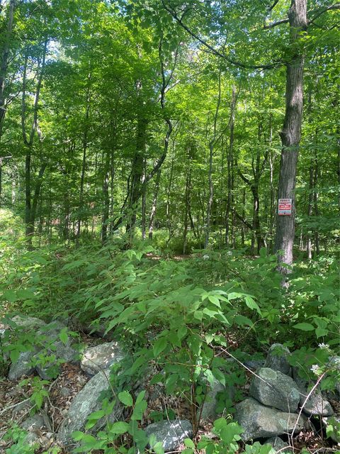 Photo of 123 Meads Farm Road, Stormville, NY 12582 (MLS # 1009757)