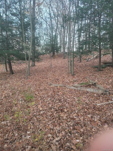 Vacant Land For Sale - 35 Shenandoah Court<br/> Carmel, NY 10512