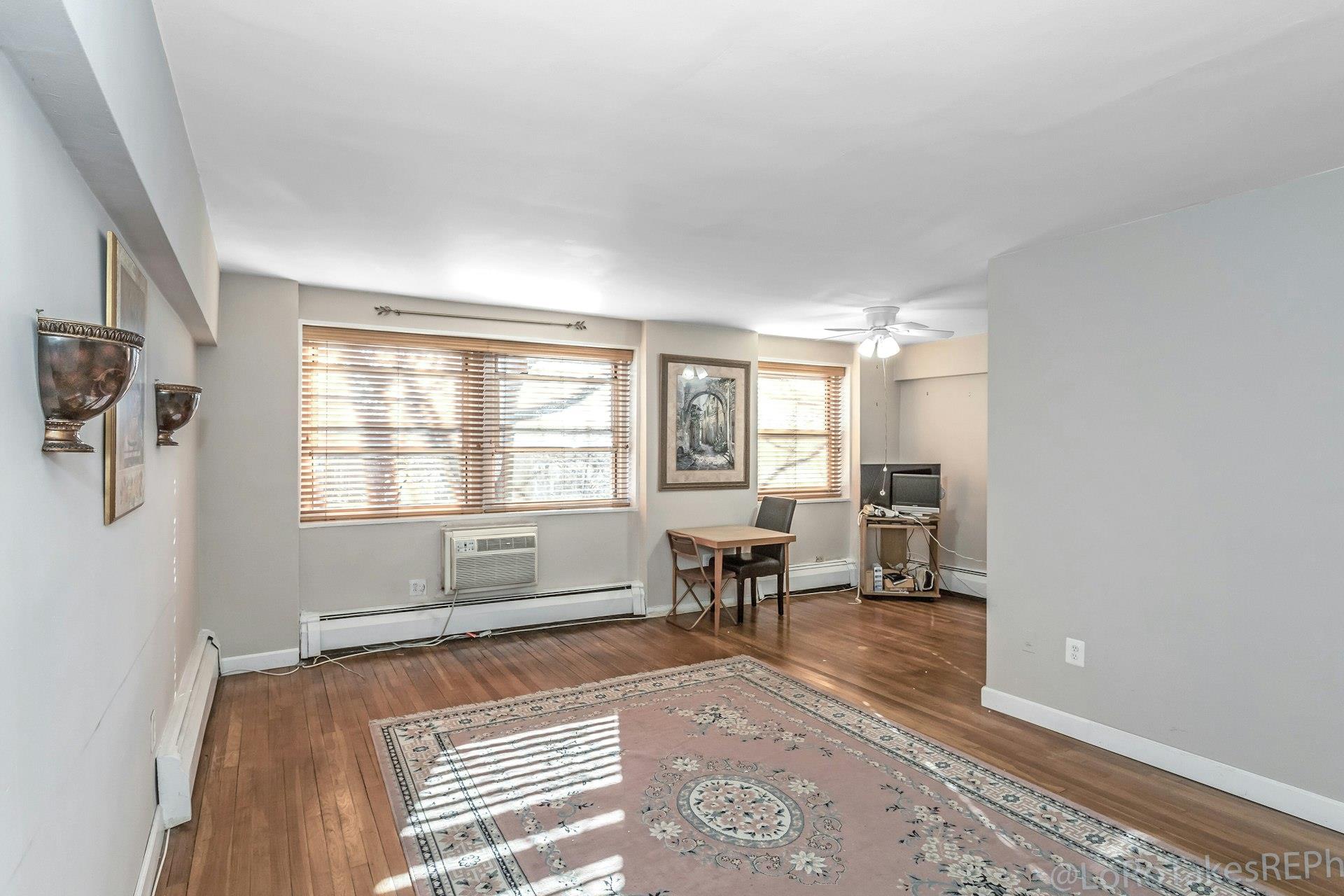 45 Hillpark Avenue #3E, Great Neck, New York image 3