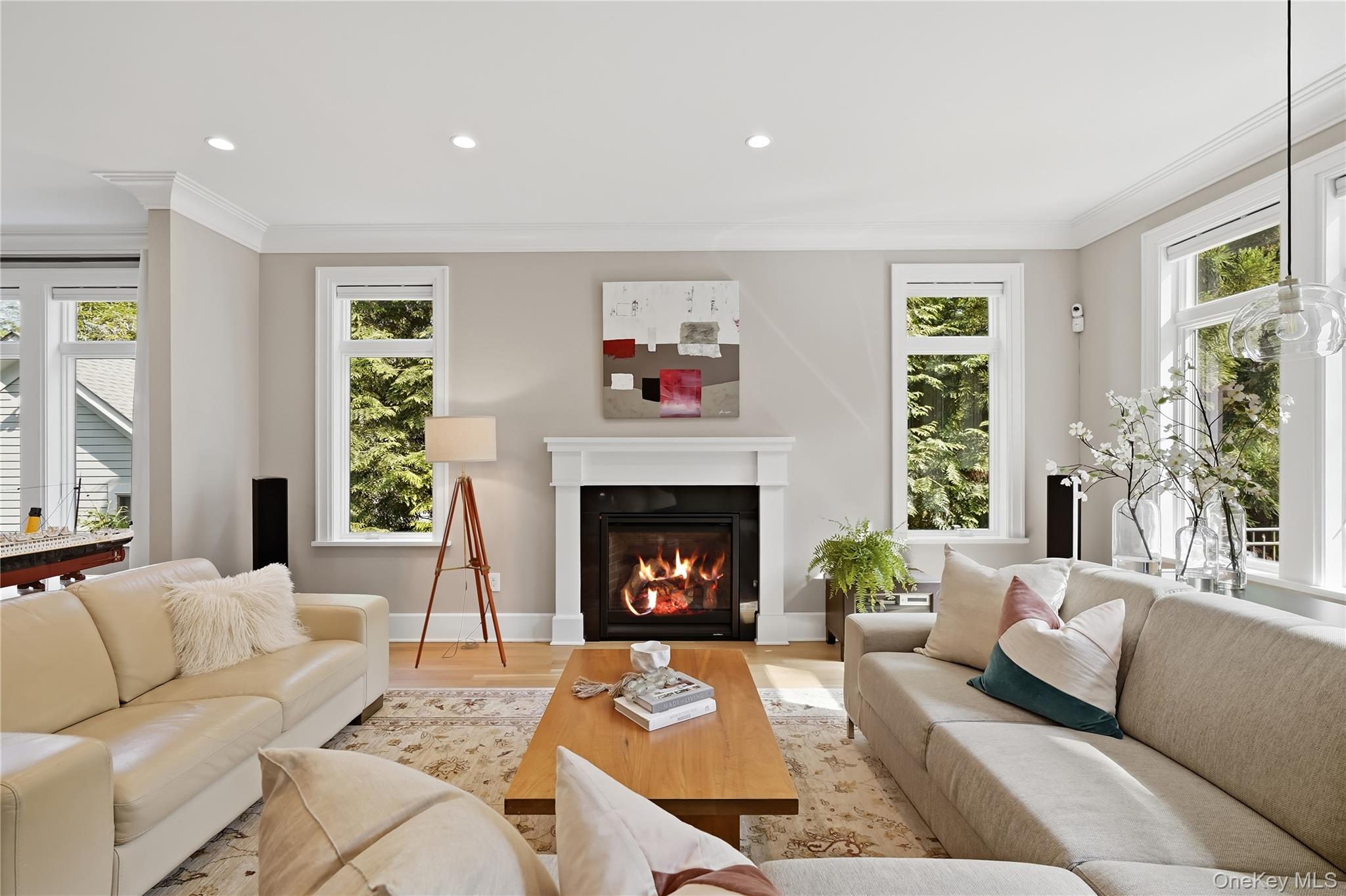 55 Harrison Drive