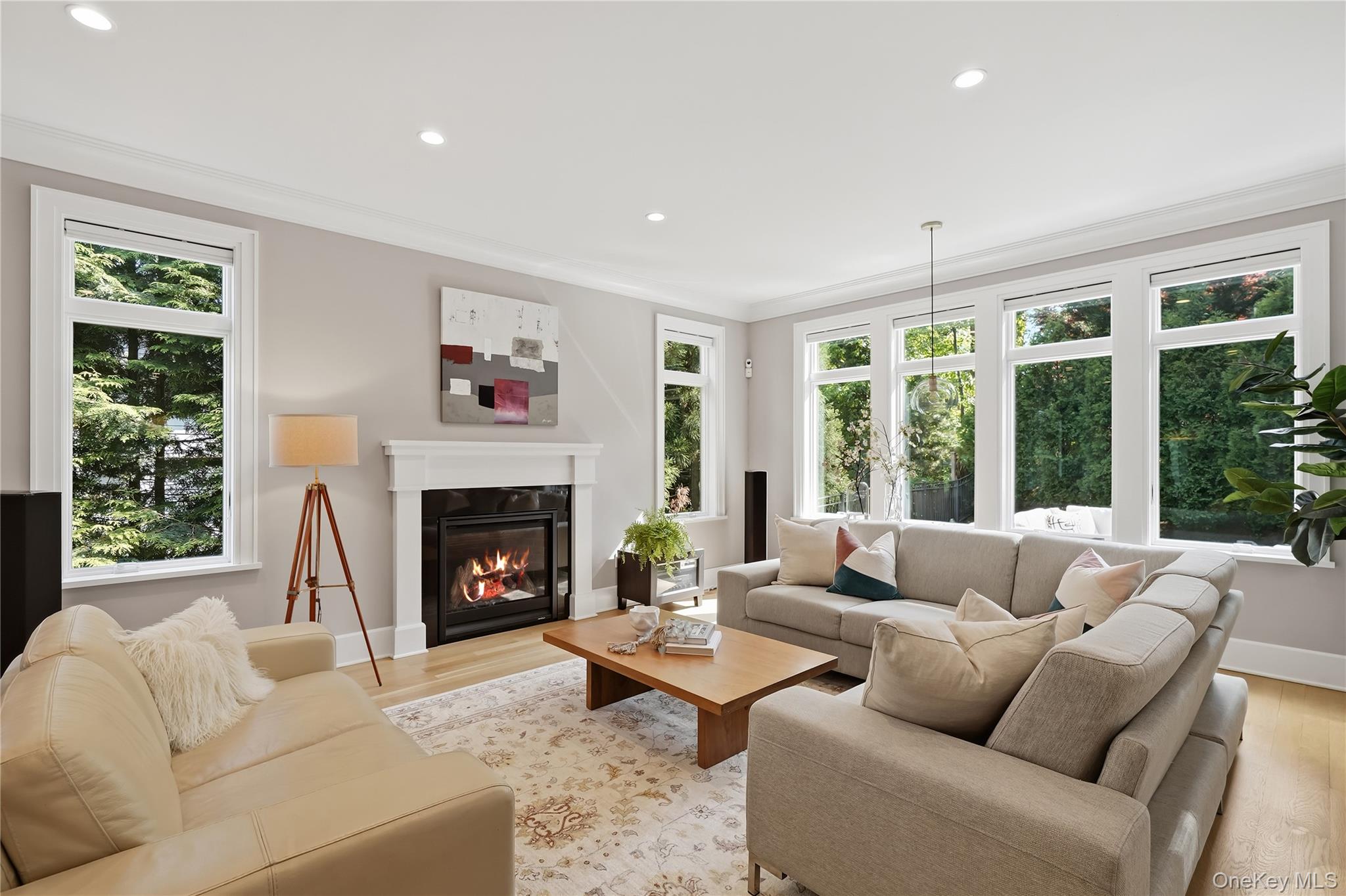 55 Harrison Drive