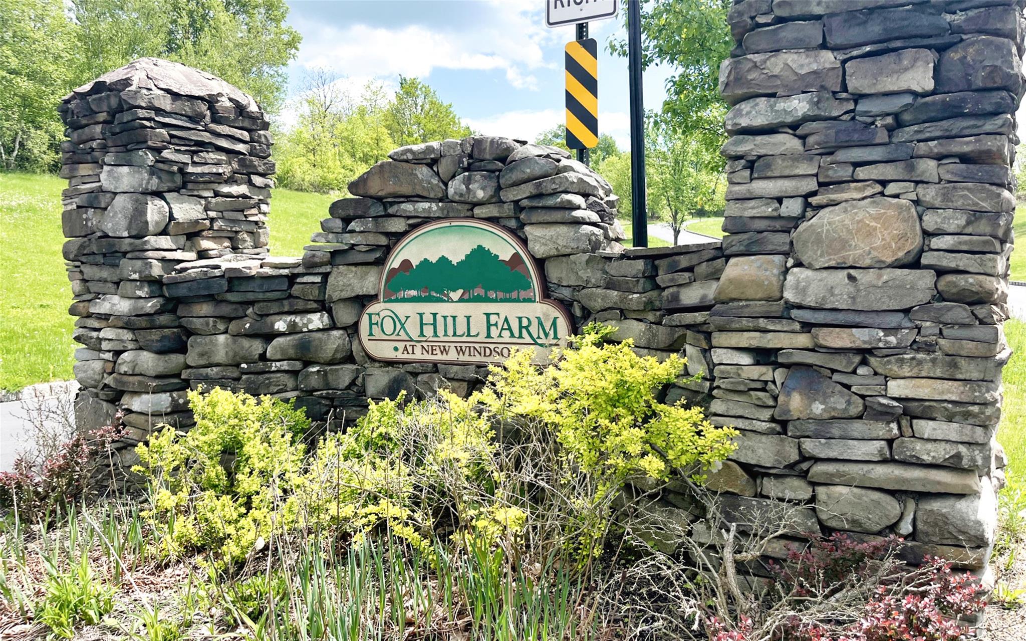 54 Fox Hill Run, Rock Tavern, New York image 1
