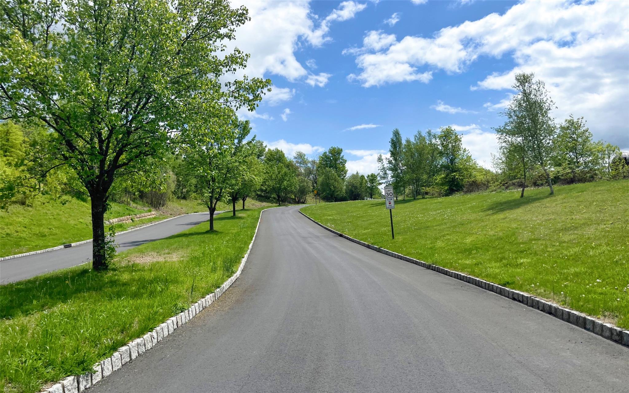 54 Fox Hill Run, Rock Tavern, New York image 2
