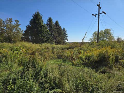 Photo of 171 Winterton Road, Bloomingburg, NY 12721 (MLS # 1035660)
