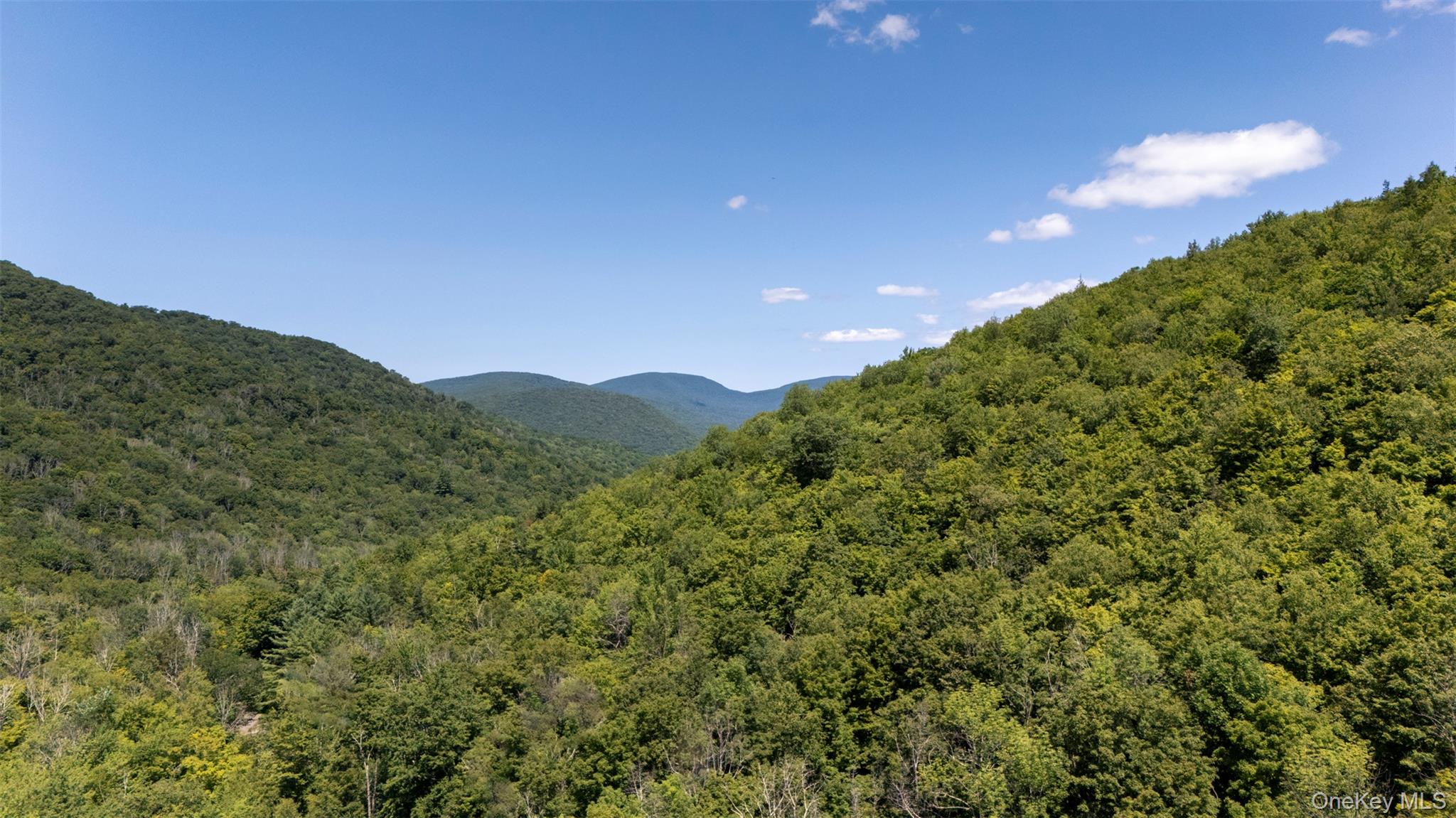 Shandaken, New York 12480, United States, 4 Bedrooms Bedrooms, ,3 BathroomsBathrooms,Residential,Active,184692