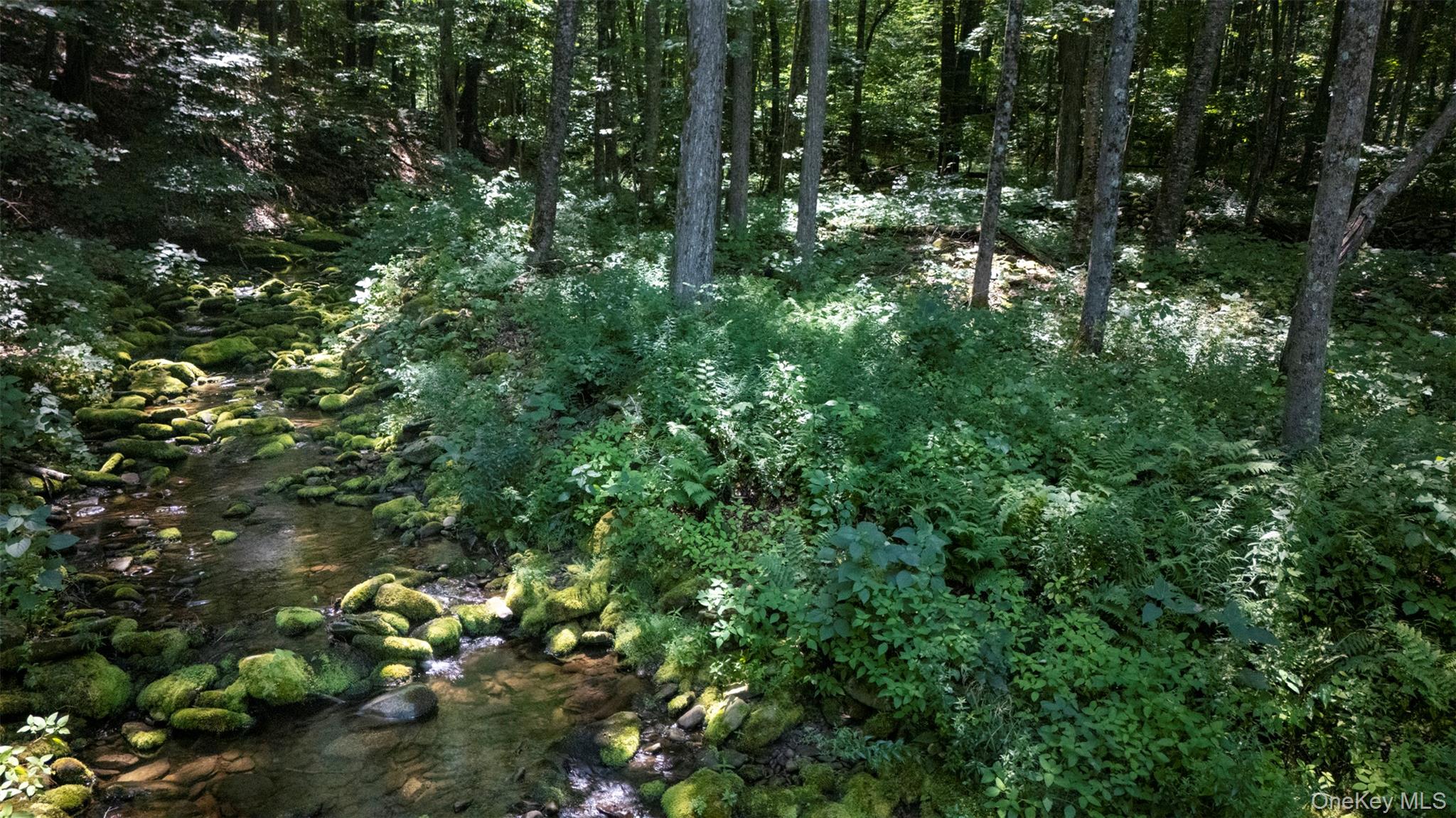 Shandaken, New York 12480, United States, 4 Bedrooms Bedrooms, ,3 BathroomsBathrooms,Residential,Active,184692