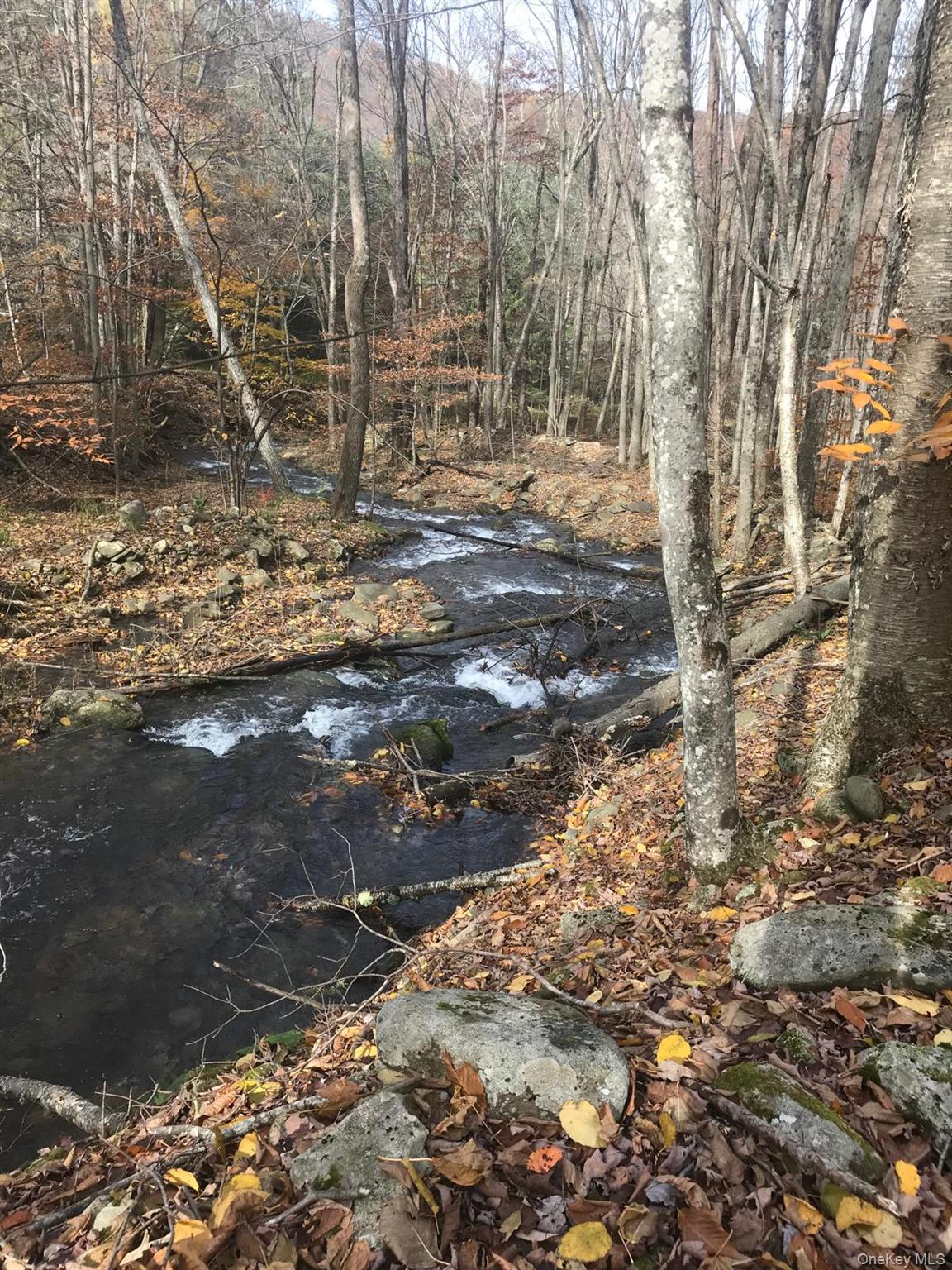Shandaken, New York 12480, United States, 4 Bedrooms Bedrooms, ,3 BathroomsBathrooms,Residential,Active,184692