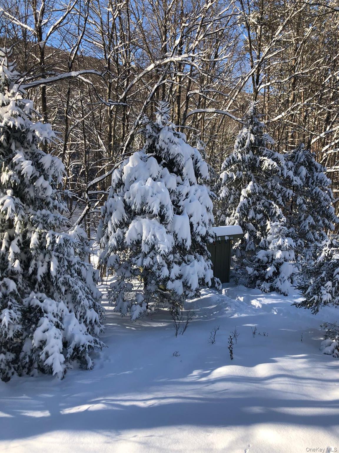 Shandaken, New York 12480, United States, 4 Bedrooms Bedrooms, ,3 BathroomsBathrooms,Residential,Active,184692