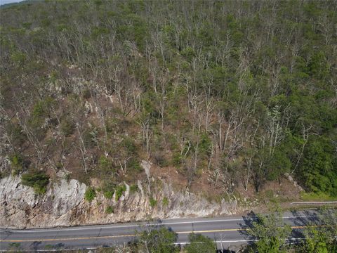 Vacant Land For Sale - Route 52<br/> Ulster County, Ellenville, NY 12489