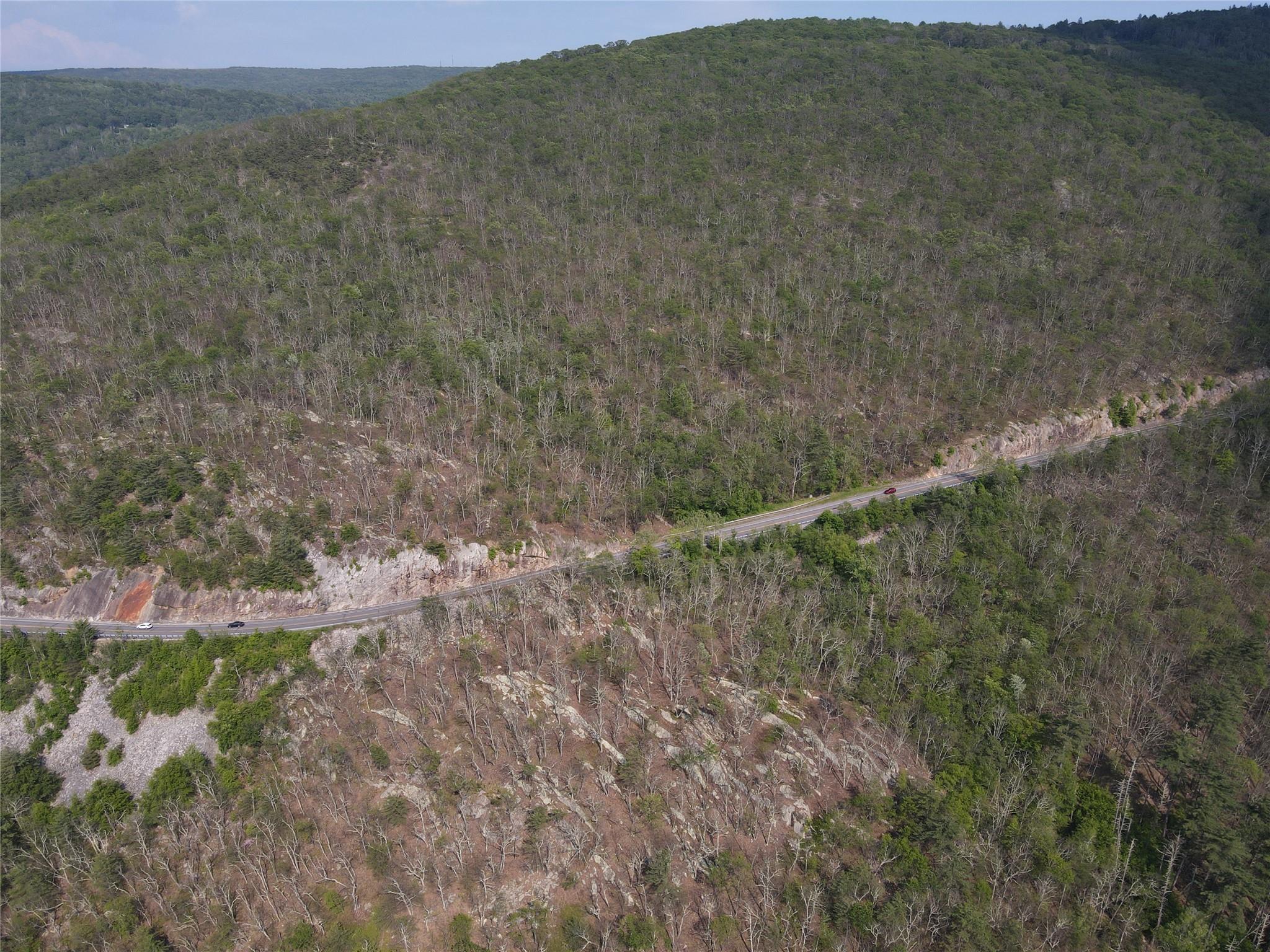 Route 52, Ellenville, New York image 9