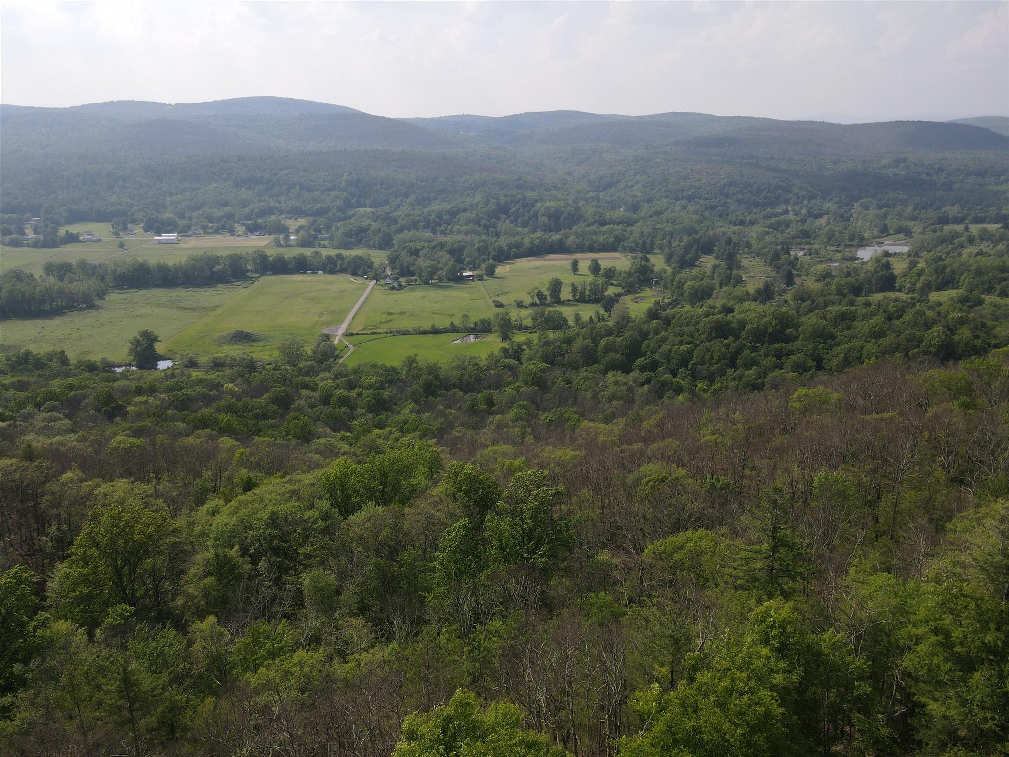 Route 52, Ellenville, New York image 14