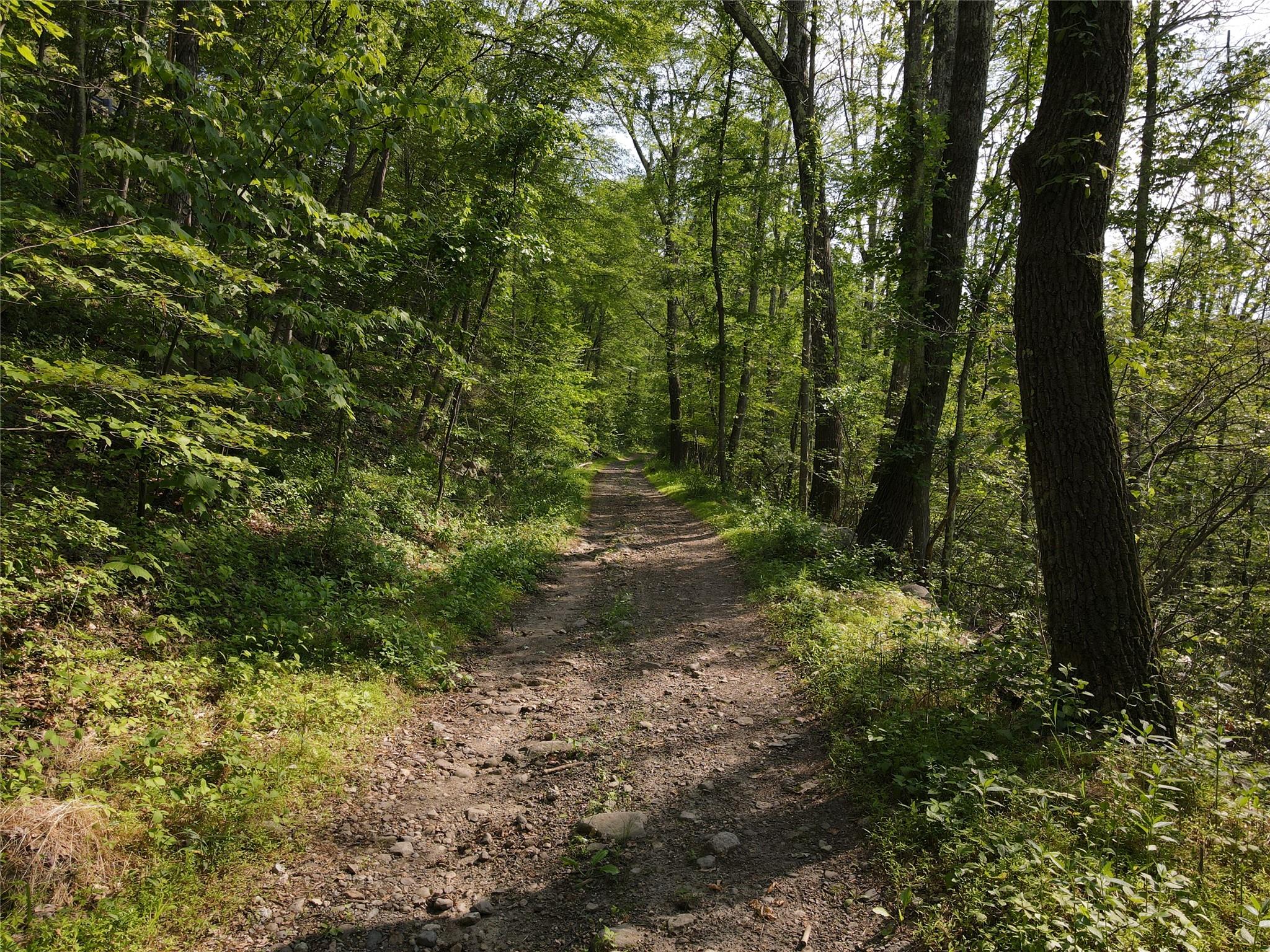 Route 52, Ellenville, New York image 18